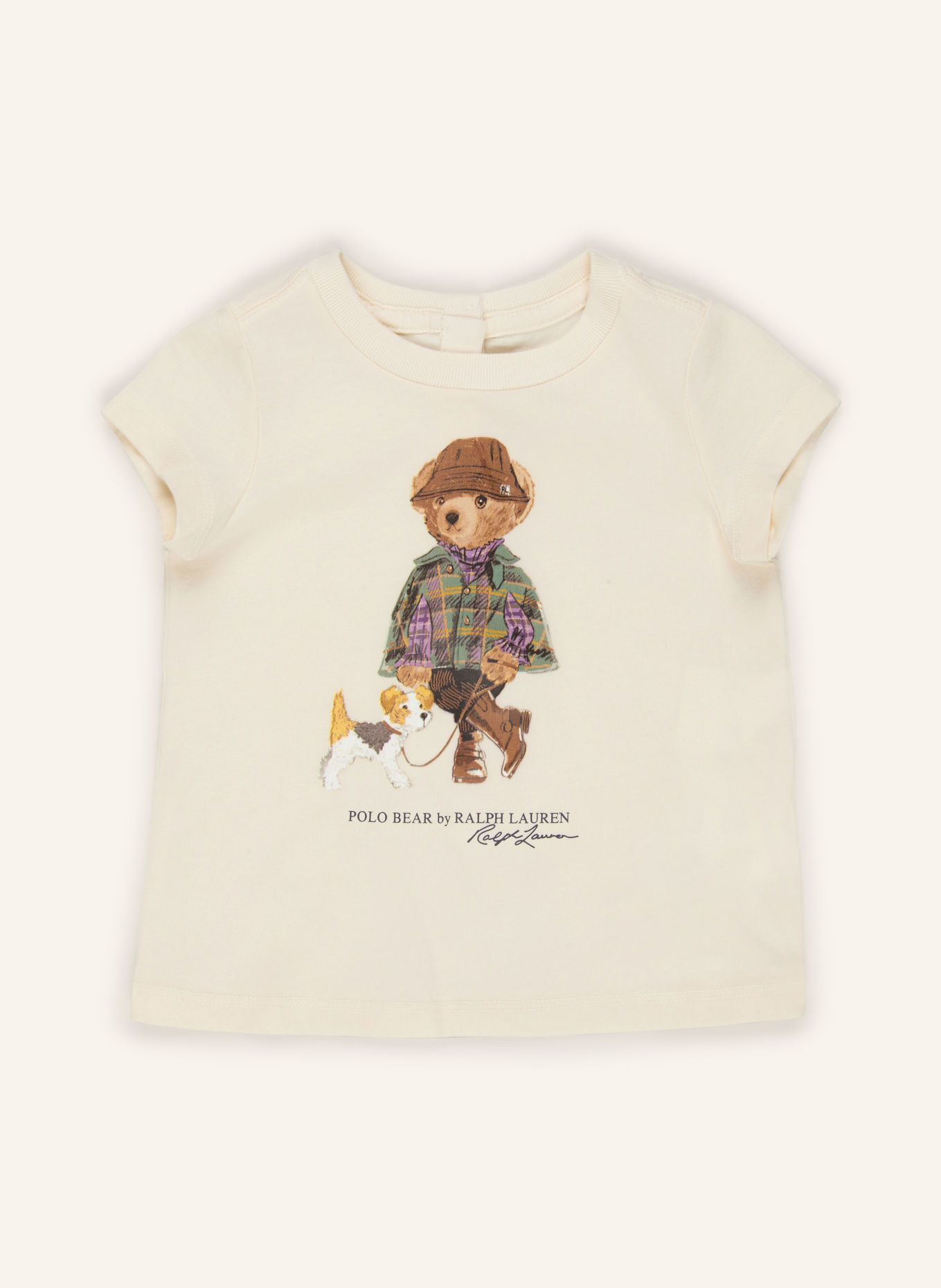 POLO RALPH LAUREN Tricou: CREM / MARO / VERDE