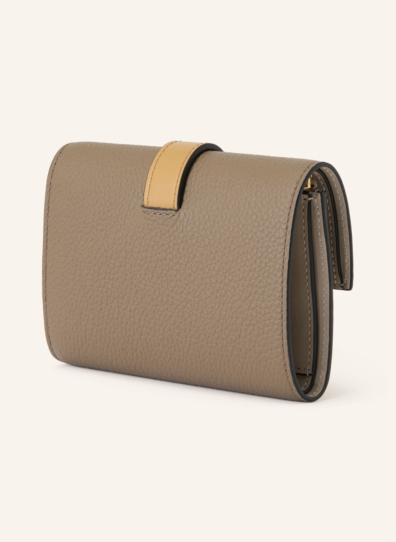 LOEWE Geldbörse: TAUPE / GOLD / BEIGE