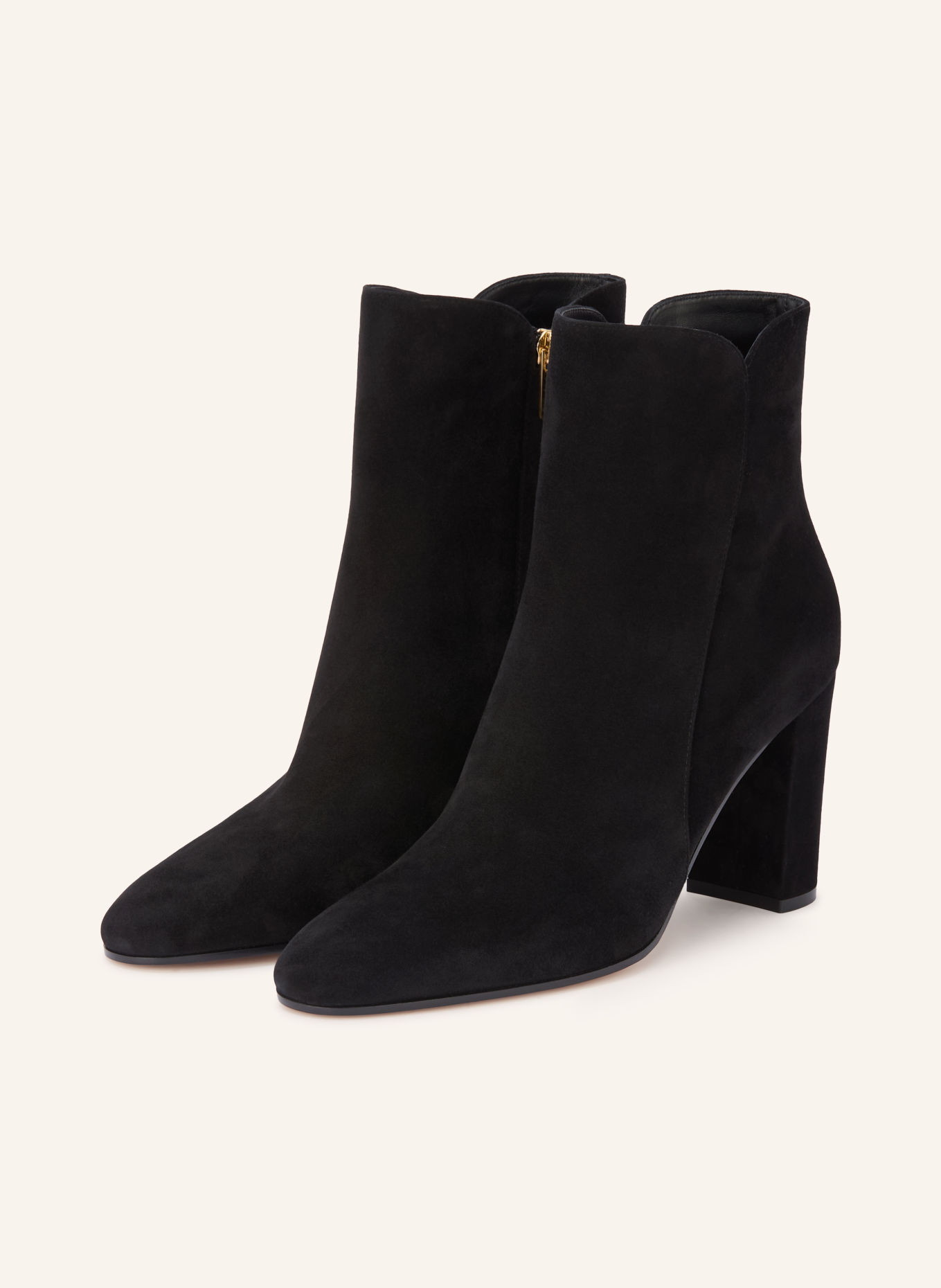 Gianvito Rossi Stiefeletten CAMOSCIO: SCHWARZ