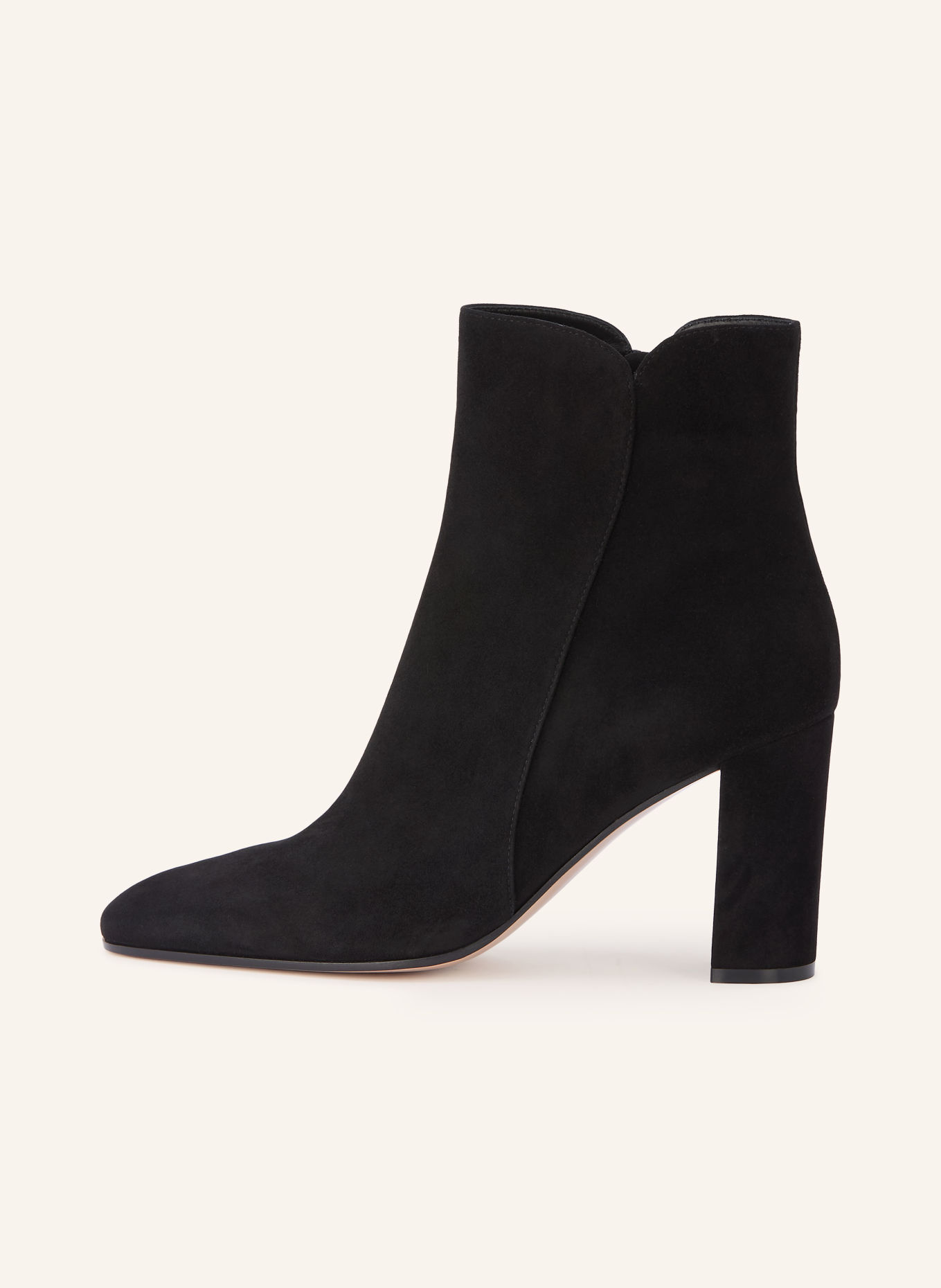 Gianvito Rossi Stiefeletten CAMOSCIO: SCHWARZ