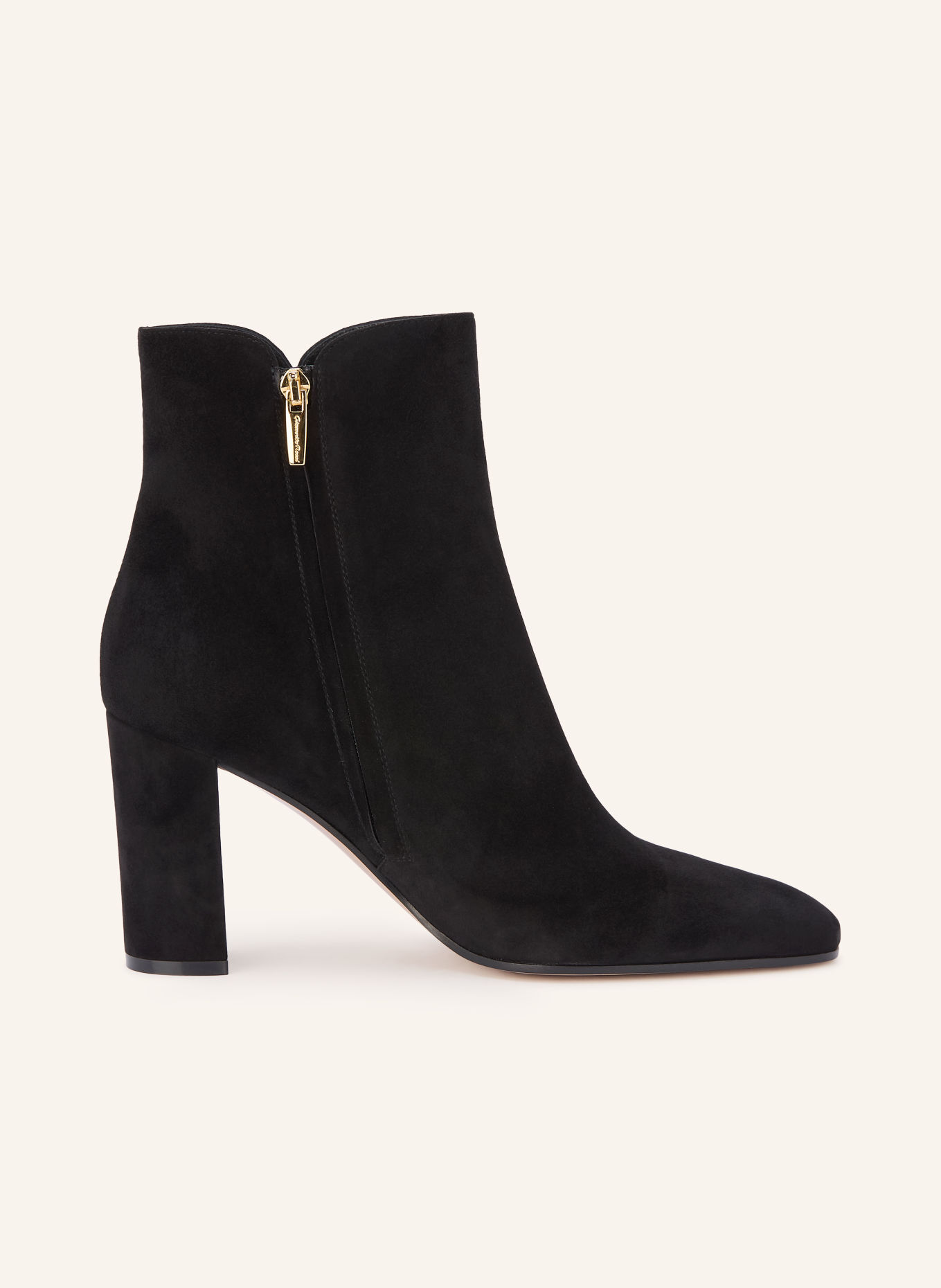 Gianvito Rossi Stiefeletten CAMOSCIO: SCHWARZ