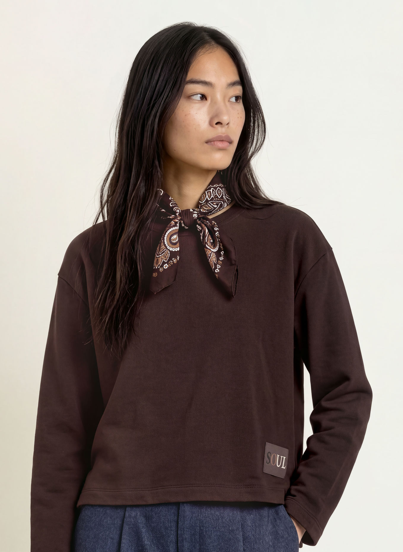 Smith & Soul Sweatshirt BOXY: DUNKELBRAUN