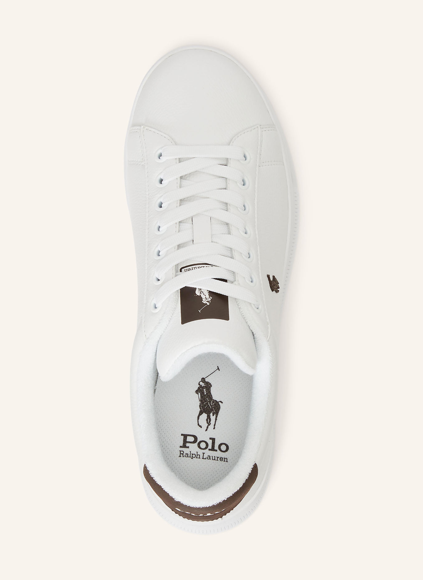 POLO RALPH LAUREN Sneakers: WIT / MARRON FONCÉ