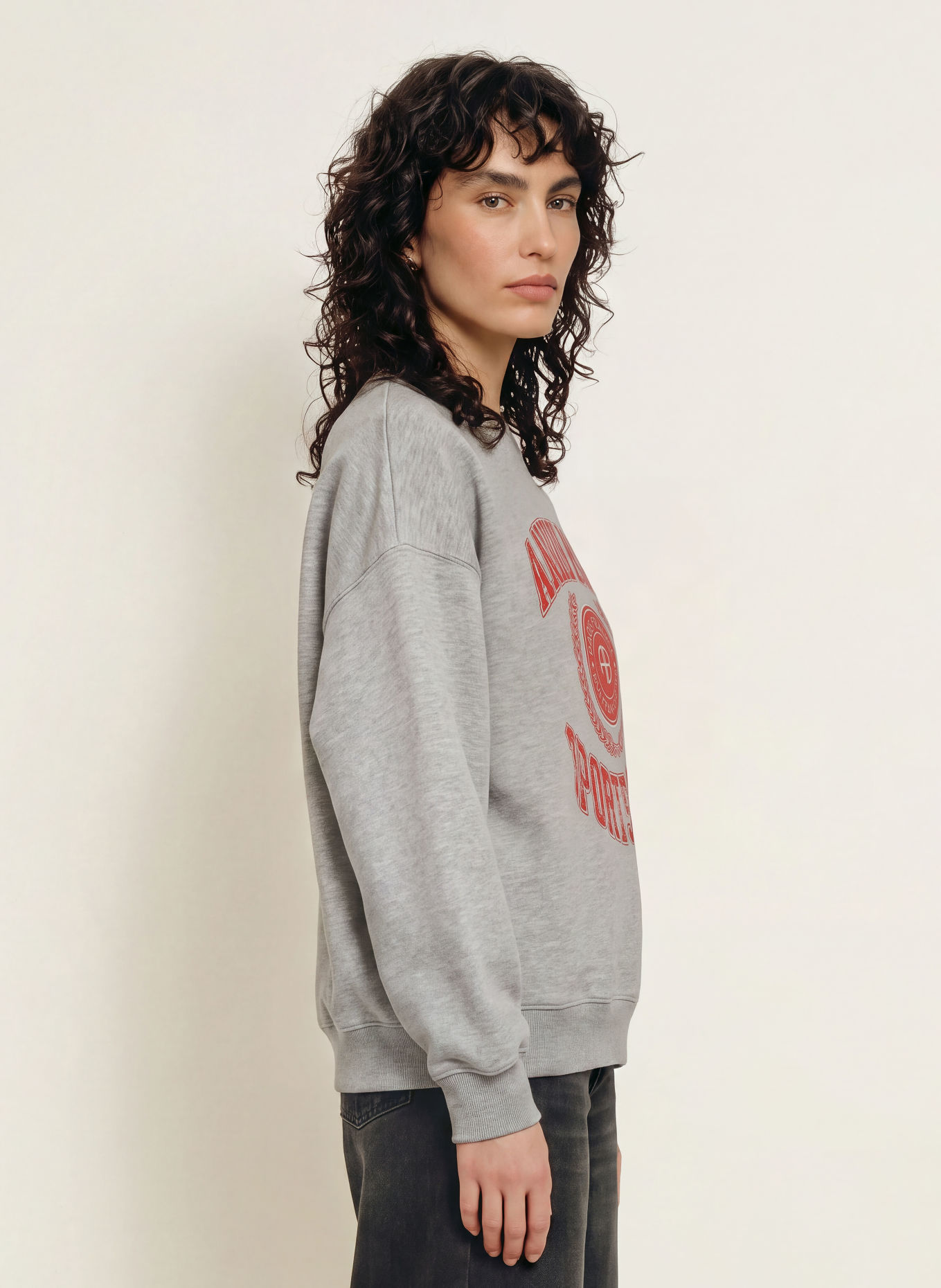ANINE BING Sweatshirt MILES: GRIJS / ECRU / ROOD