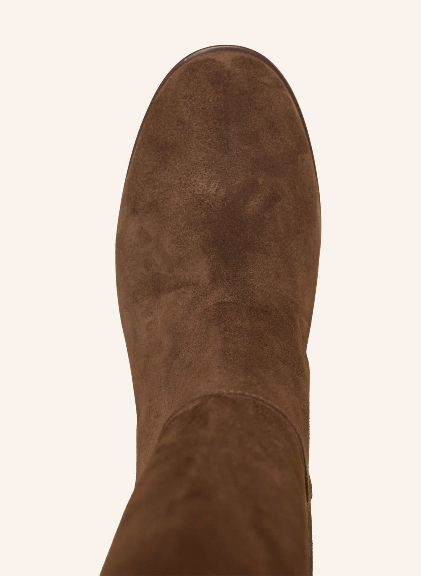 CASADEI Over-the-knee boots NEW MUNY: DARK BROWN