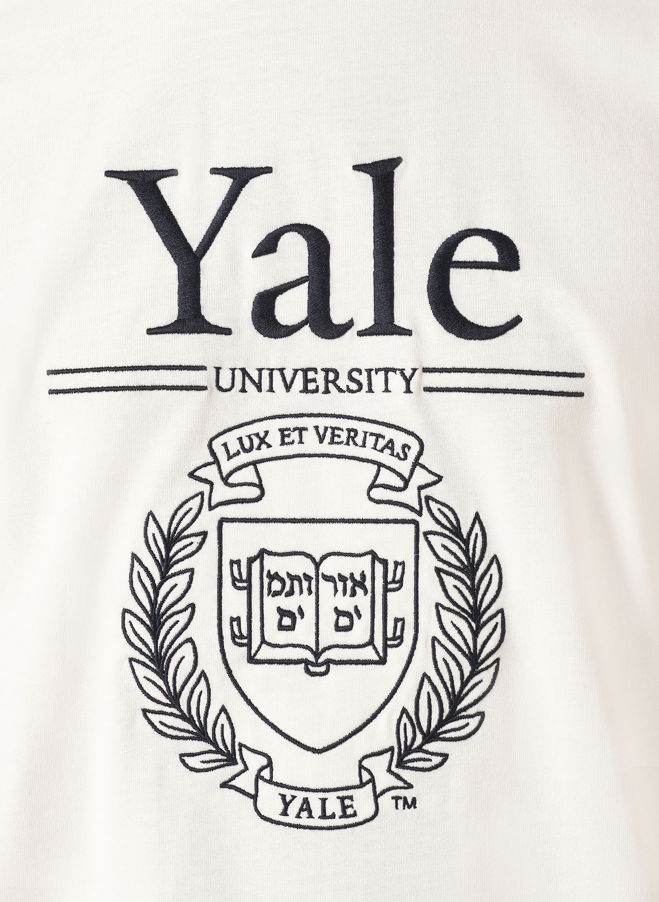 GANT T-Shirt: WEISS / SCHWARZ
