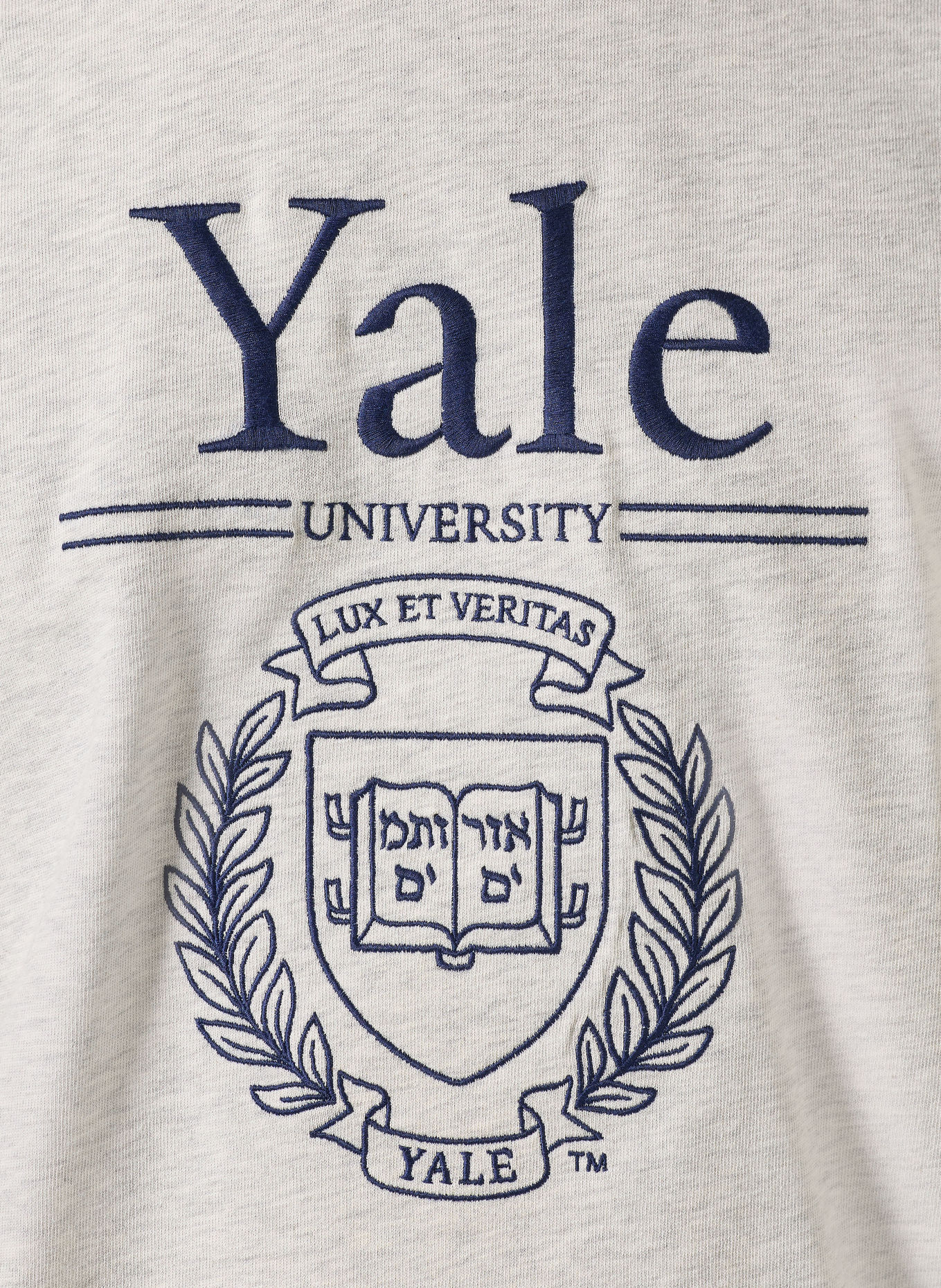 GANT T-shirt: LIGHT GRAY / DARK BLUE