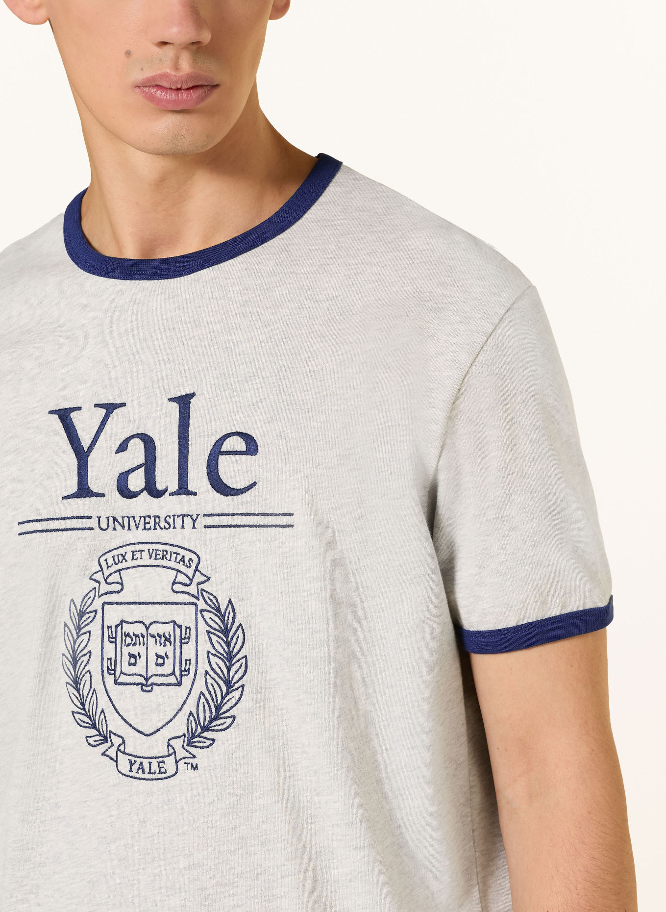 GANT T-shirt: LIGHT GRAY / DARK BLUE