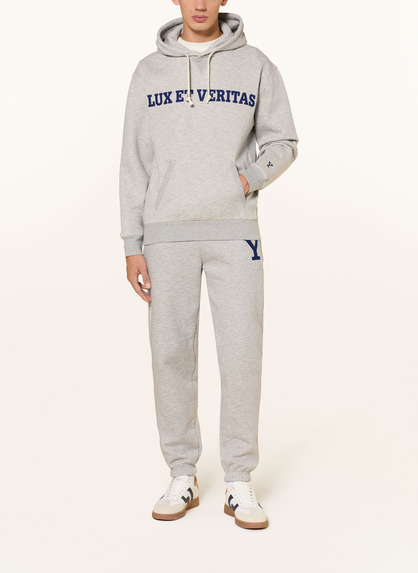 GANT Hoodie: LIGHT GRAY / DARK BLUE
