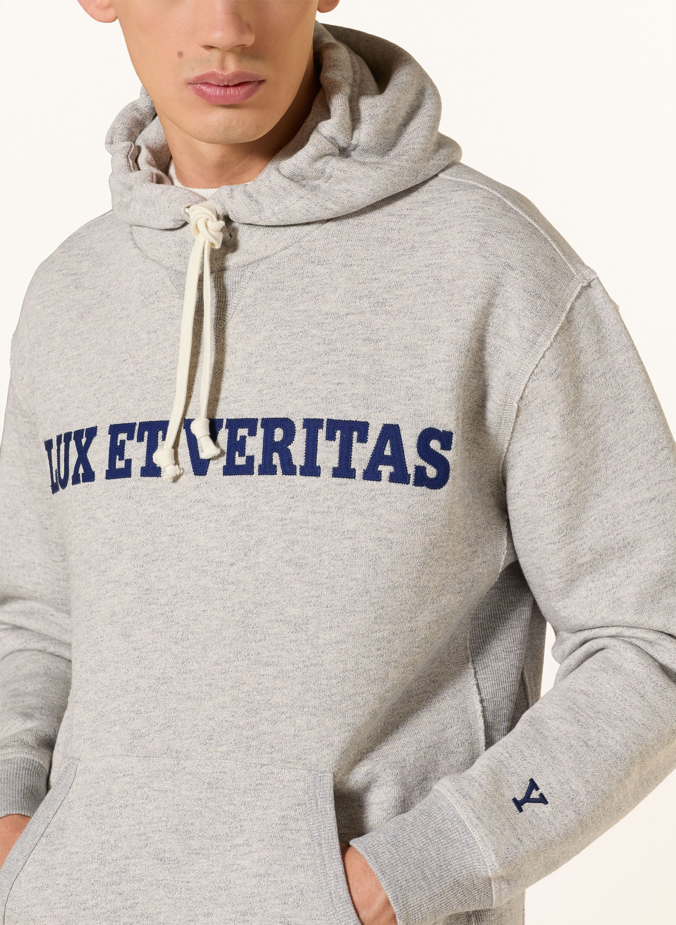 GANT Hoodie: LIGHT GRAY / DARK BLUE