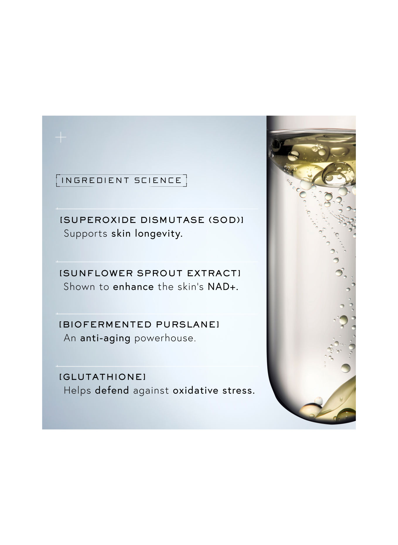 DR. BARBARA STURM SUPER ANTI-AGING SERUM