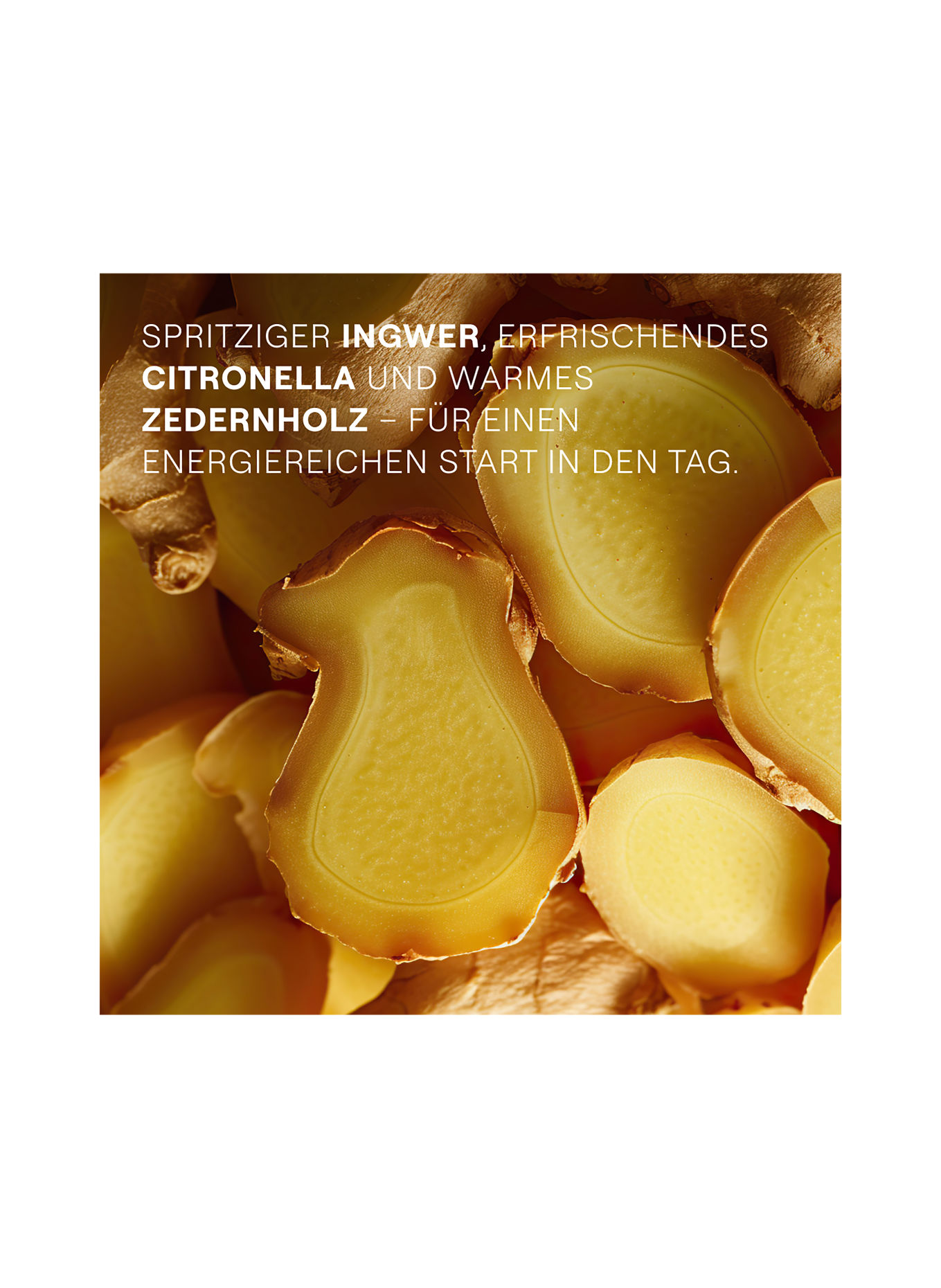 WELEDA ENERGIE SHOWER  GEL INGWER