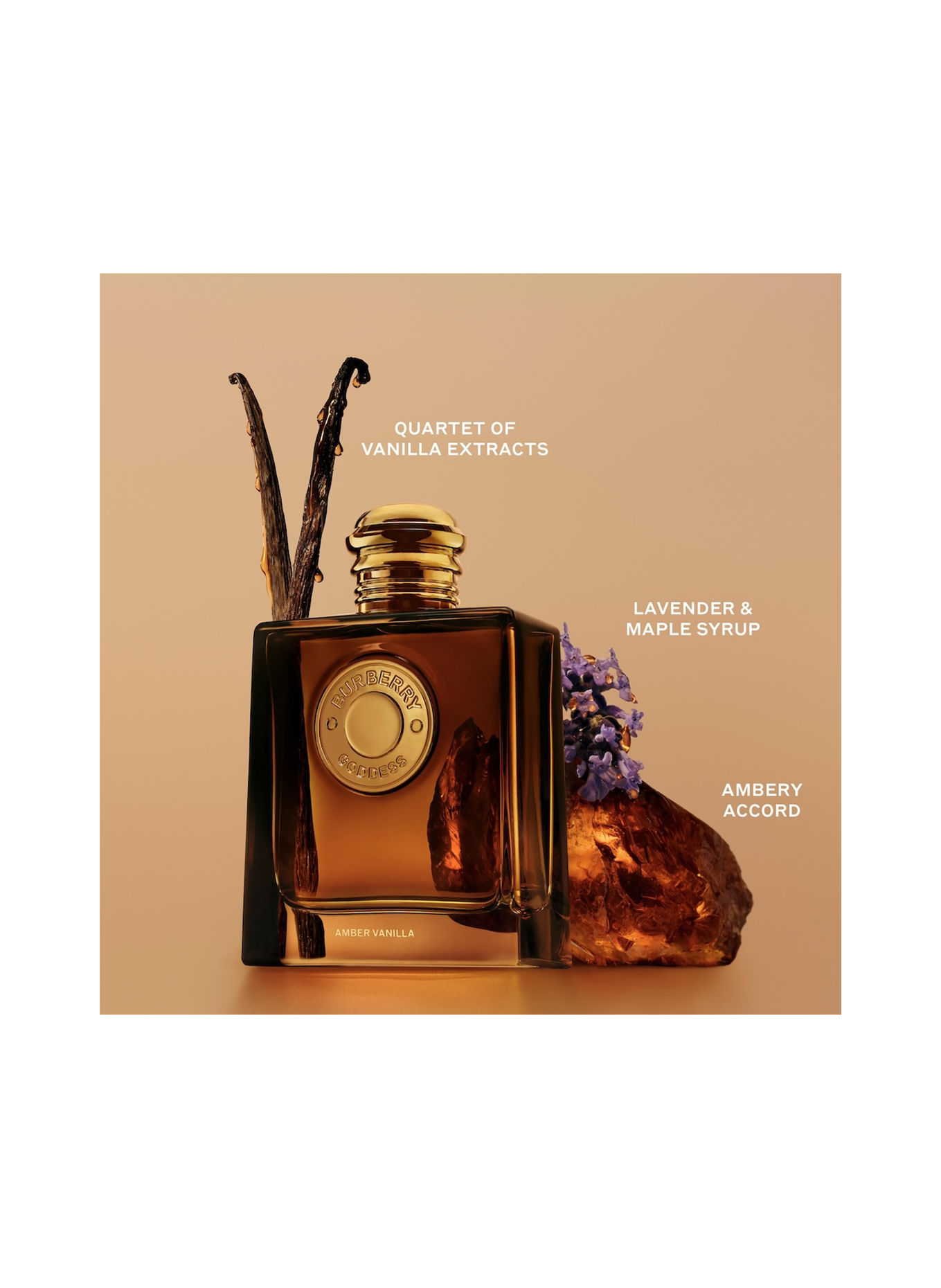 BURBERRY BEAUTY GODDESS AMBER VANILLA