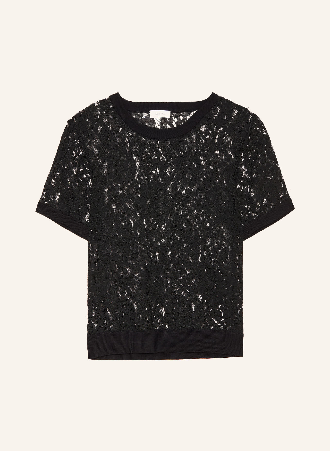 darling harbour Blusenshirt aus Spitze: BLACK