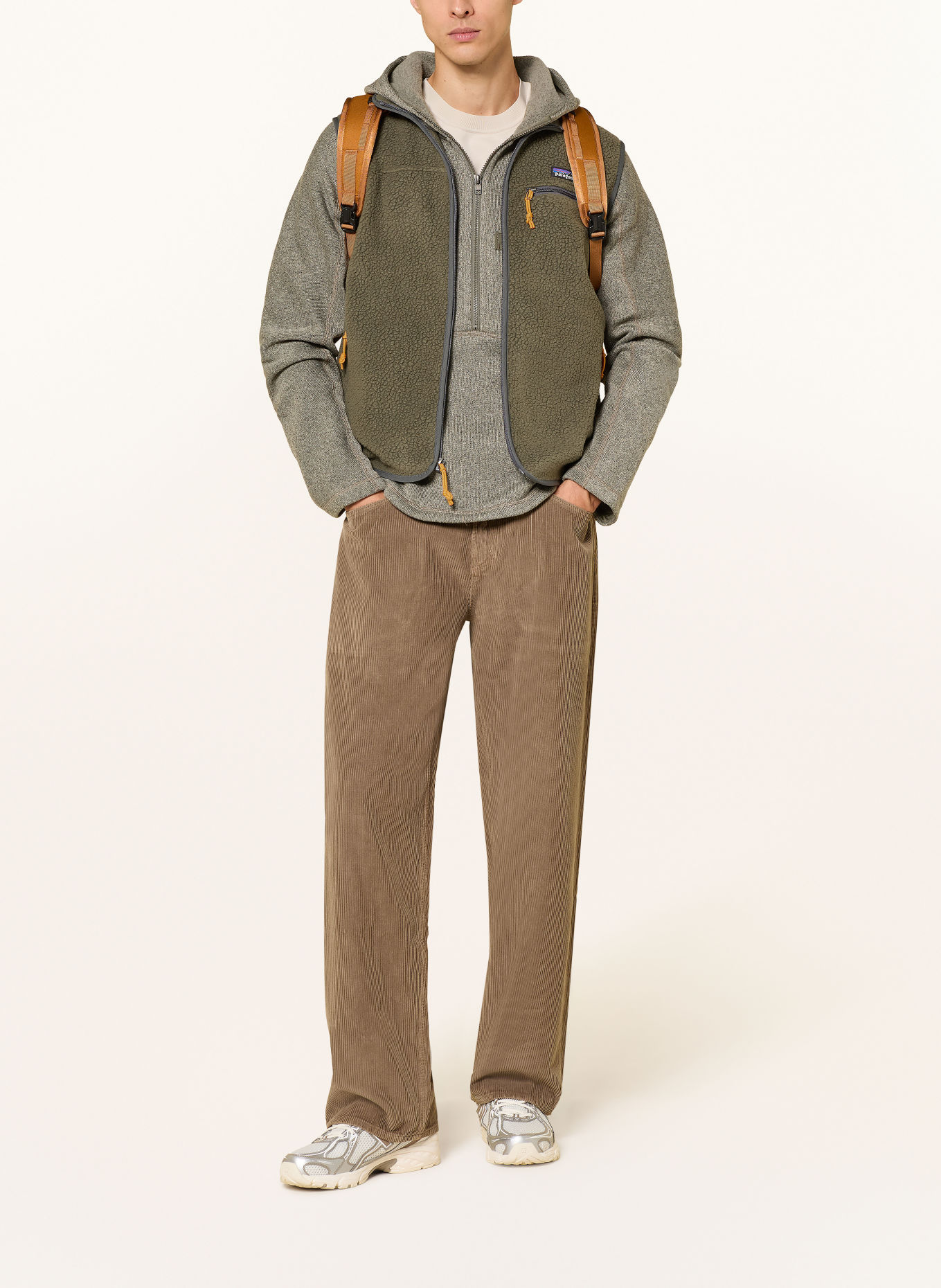 patagonia Hoodie BETTER SWEATER™: LICHTGROEN