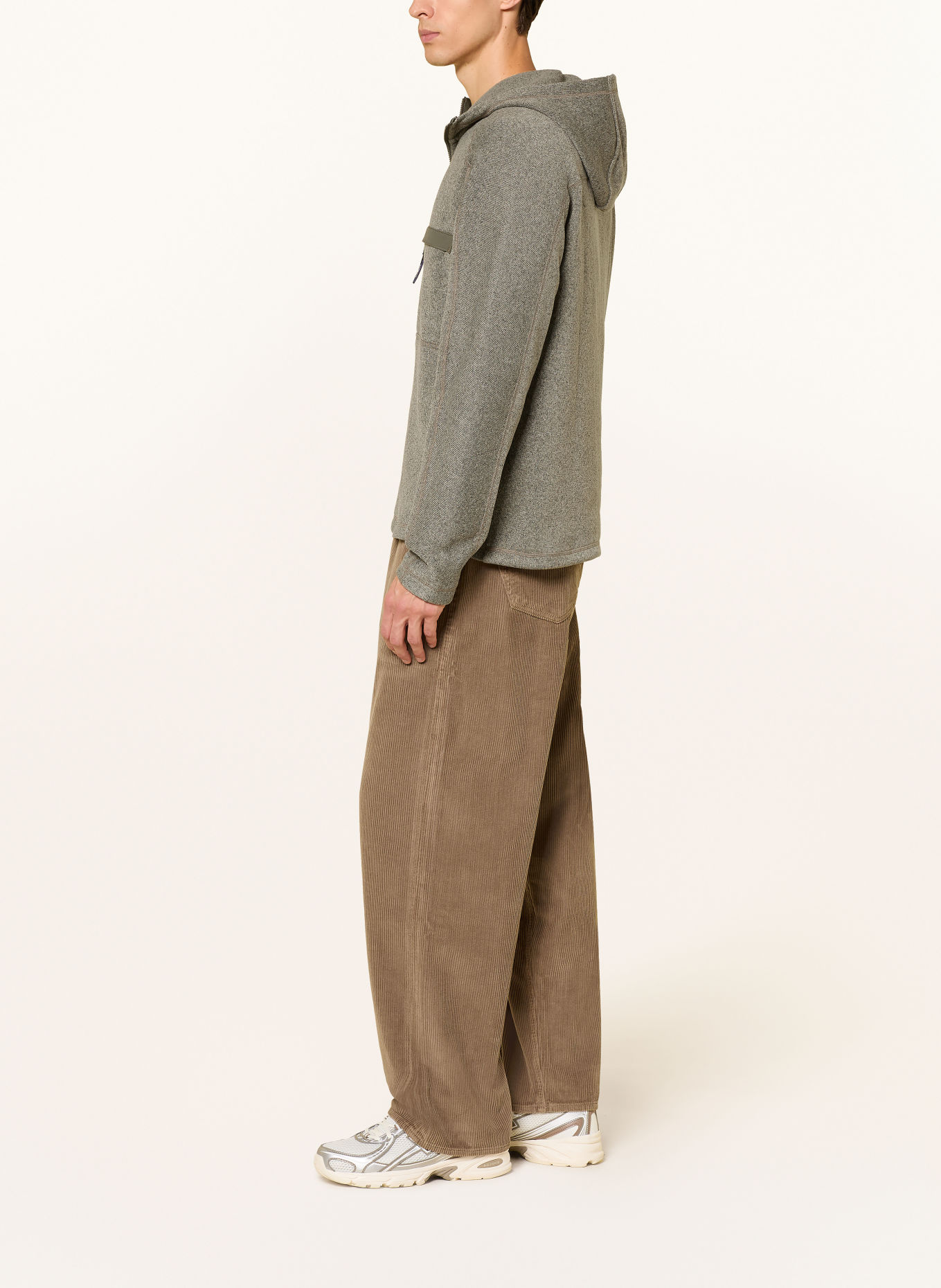 patagonia Hoodie BETTER SWEATER™: LICHTGROEN