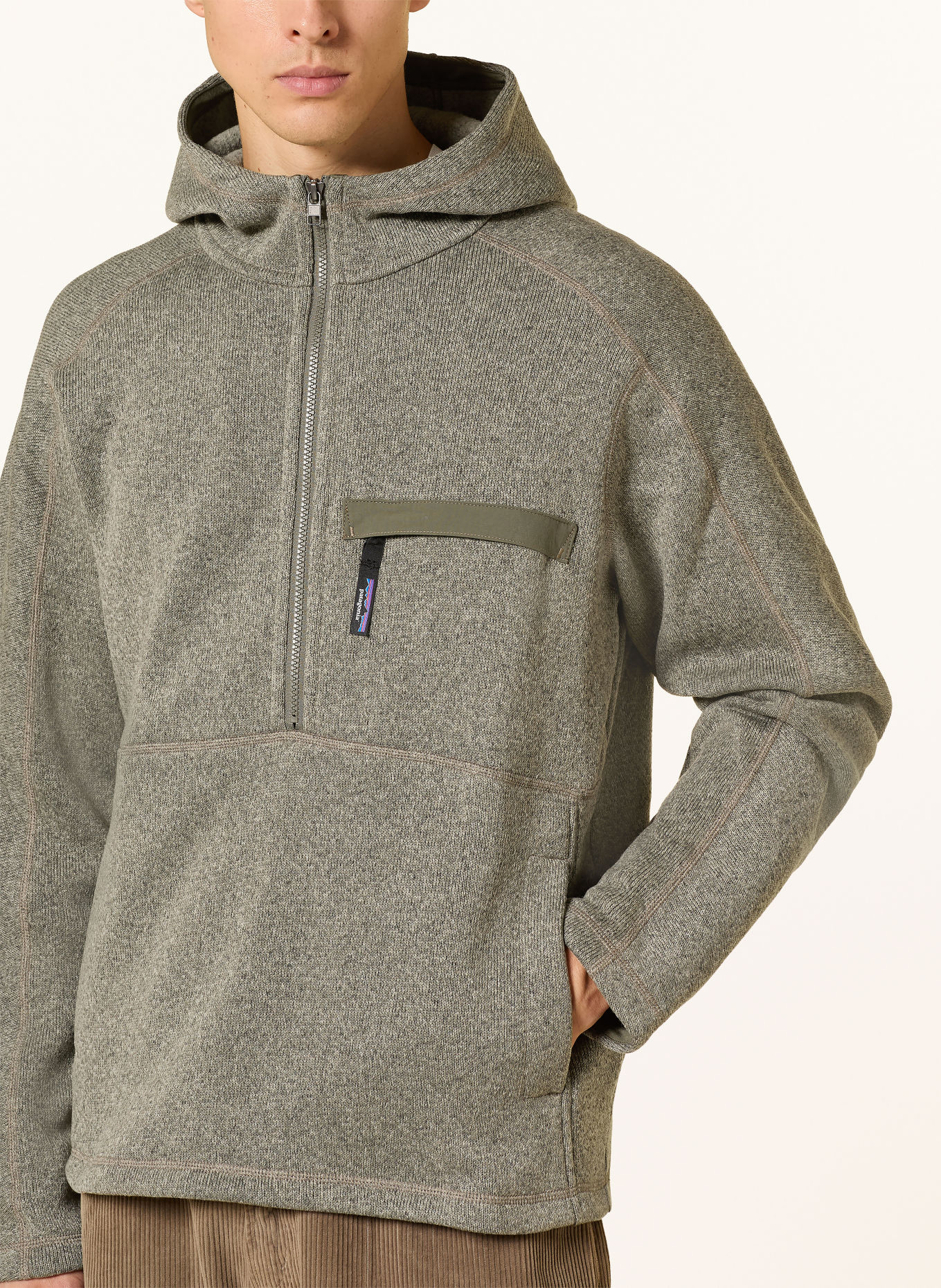 patagonia Hoodie BETTER SWEATER™: LICHTGROEN