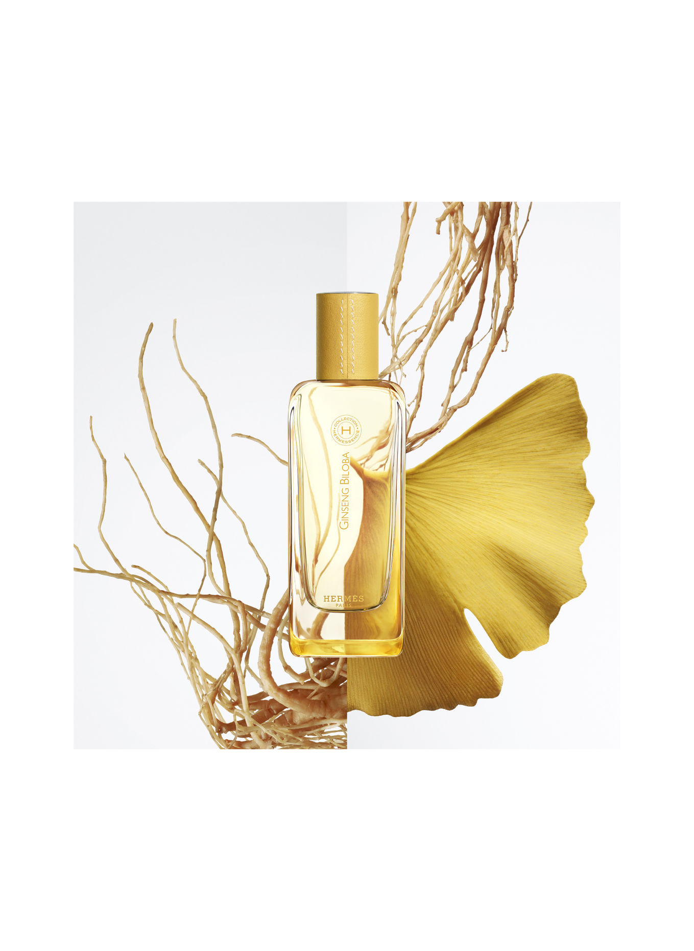 HERMÈS GINSENG BILOBA