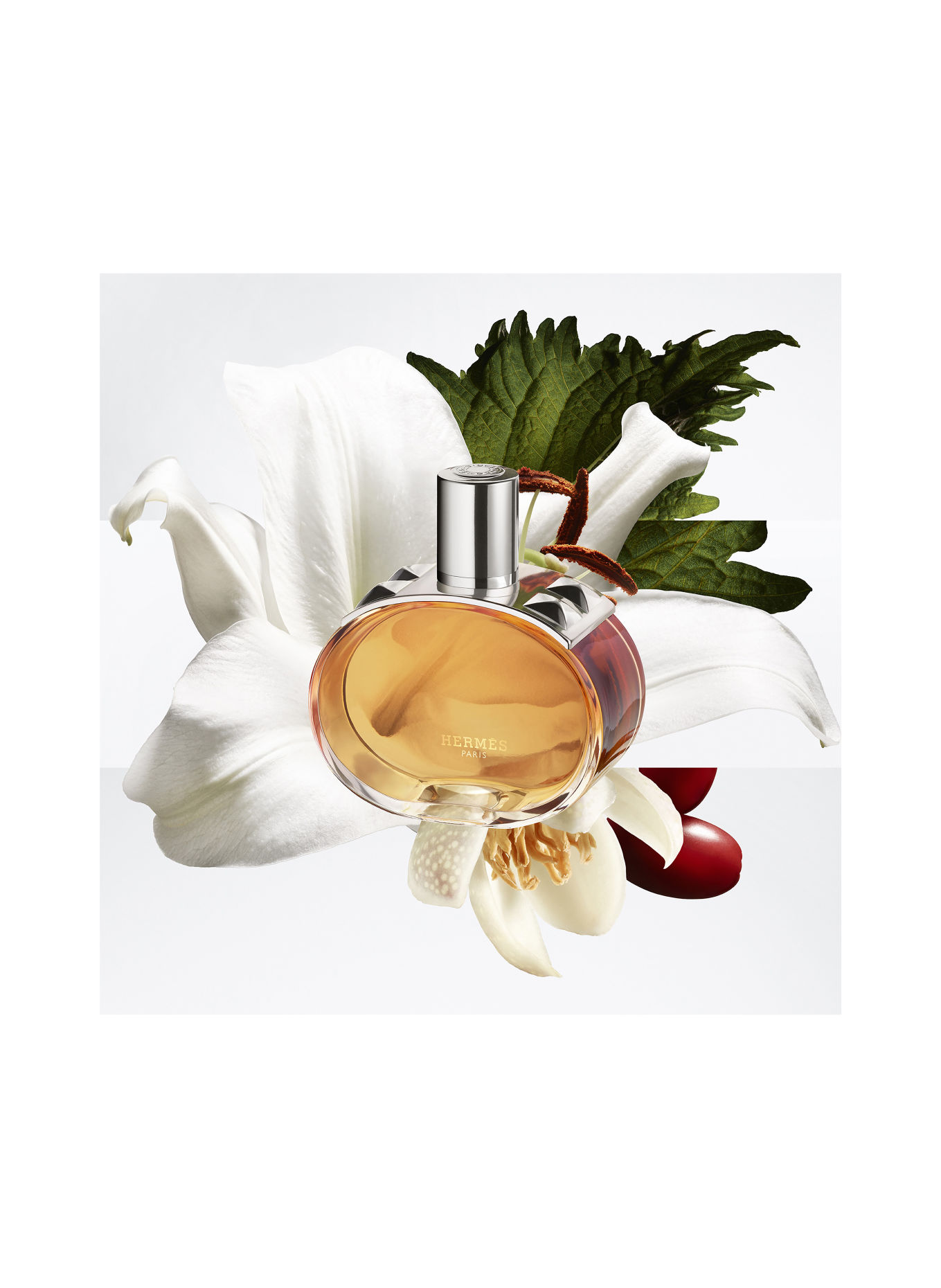HERMÈS BARÉNIA PLEINE FLEUR