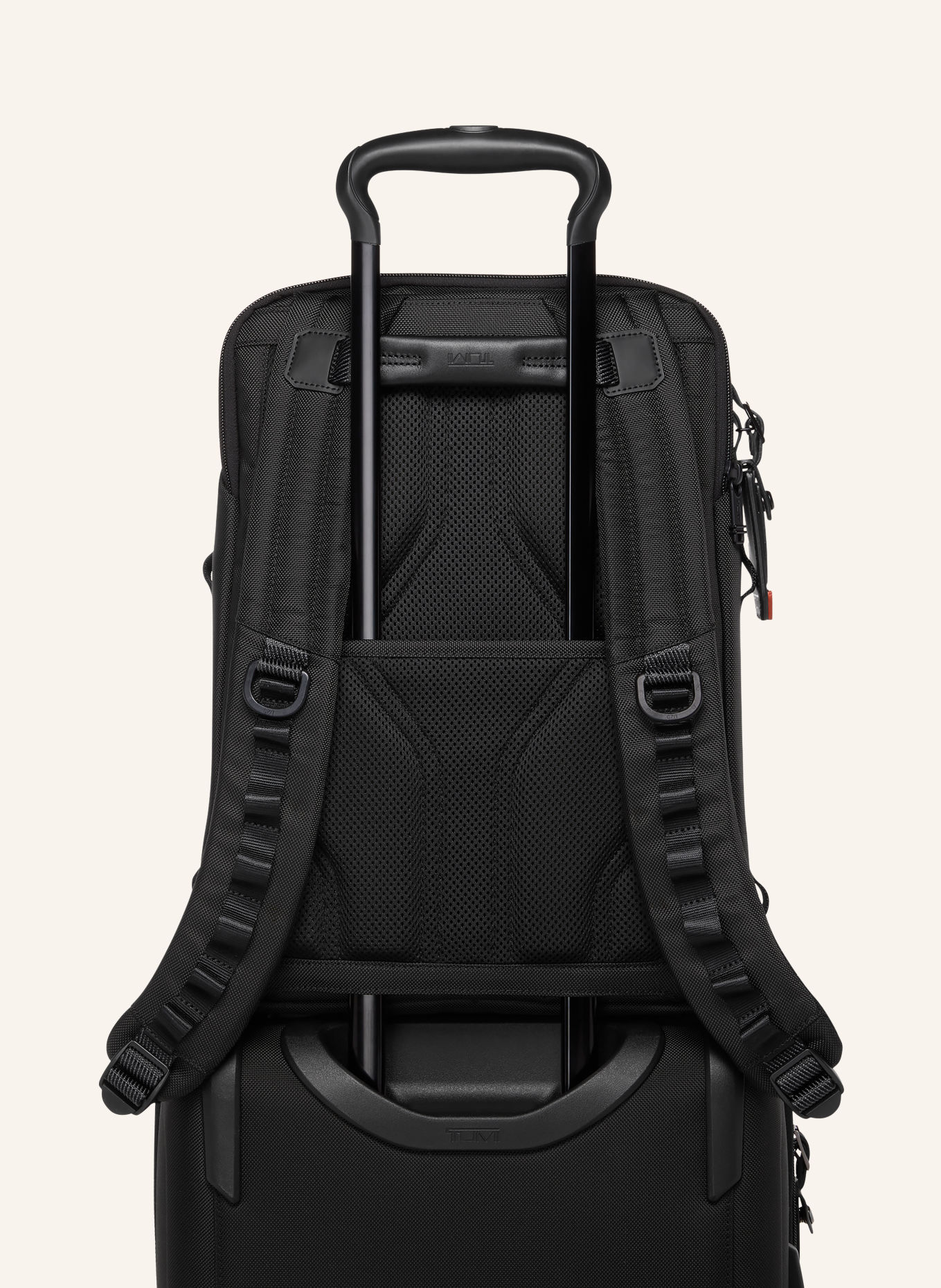 TUMI ALPHA BRAVO DYNAMIC Backpack with laptop compartment: TAUPE / BLACK