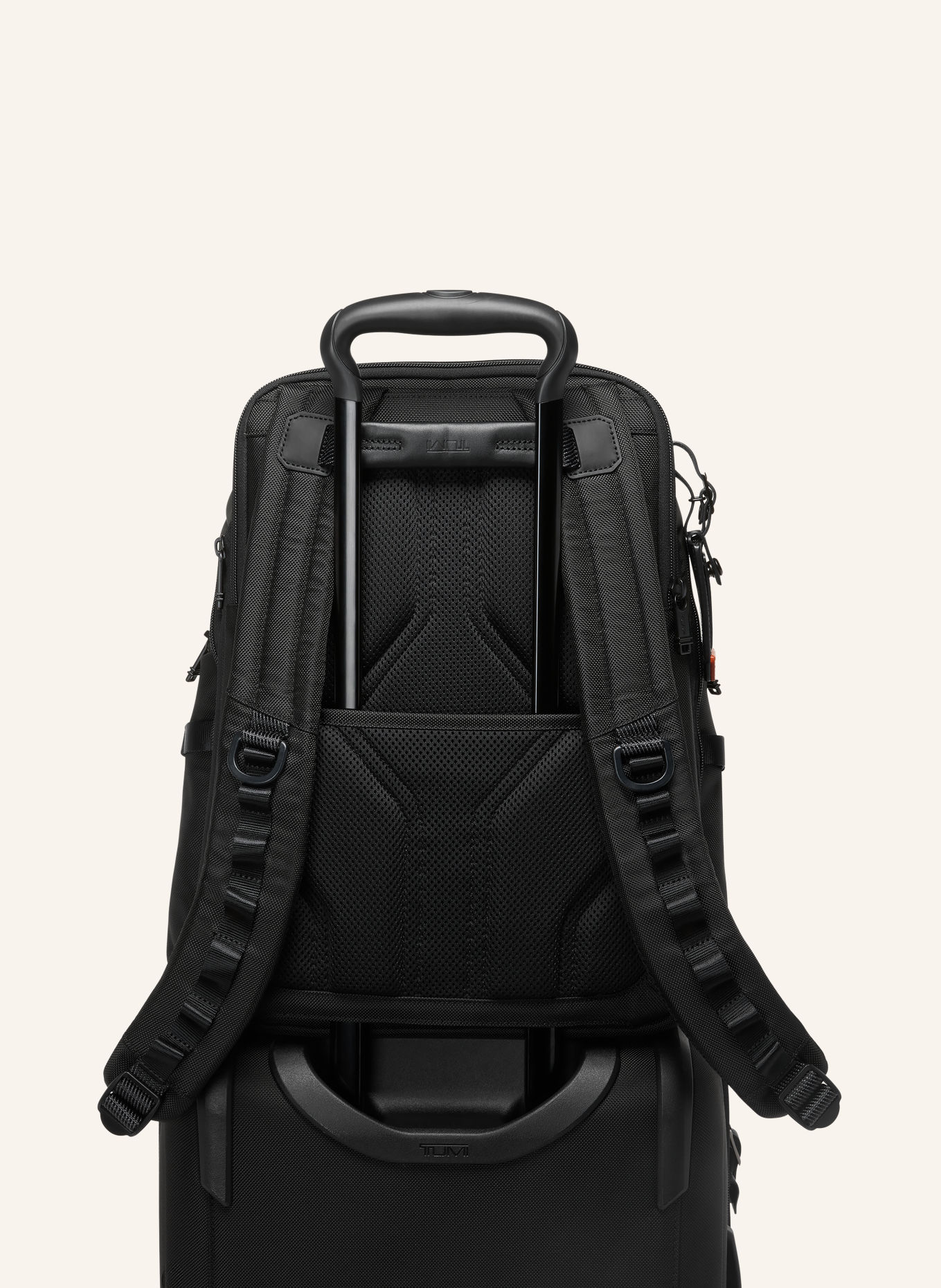 TUMI ALPHA BRAVO NAVIGATION Backpack with laptop compartment: TAUPE / BLACK
