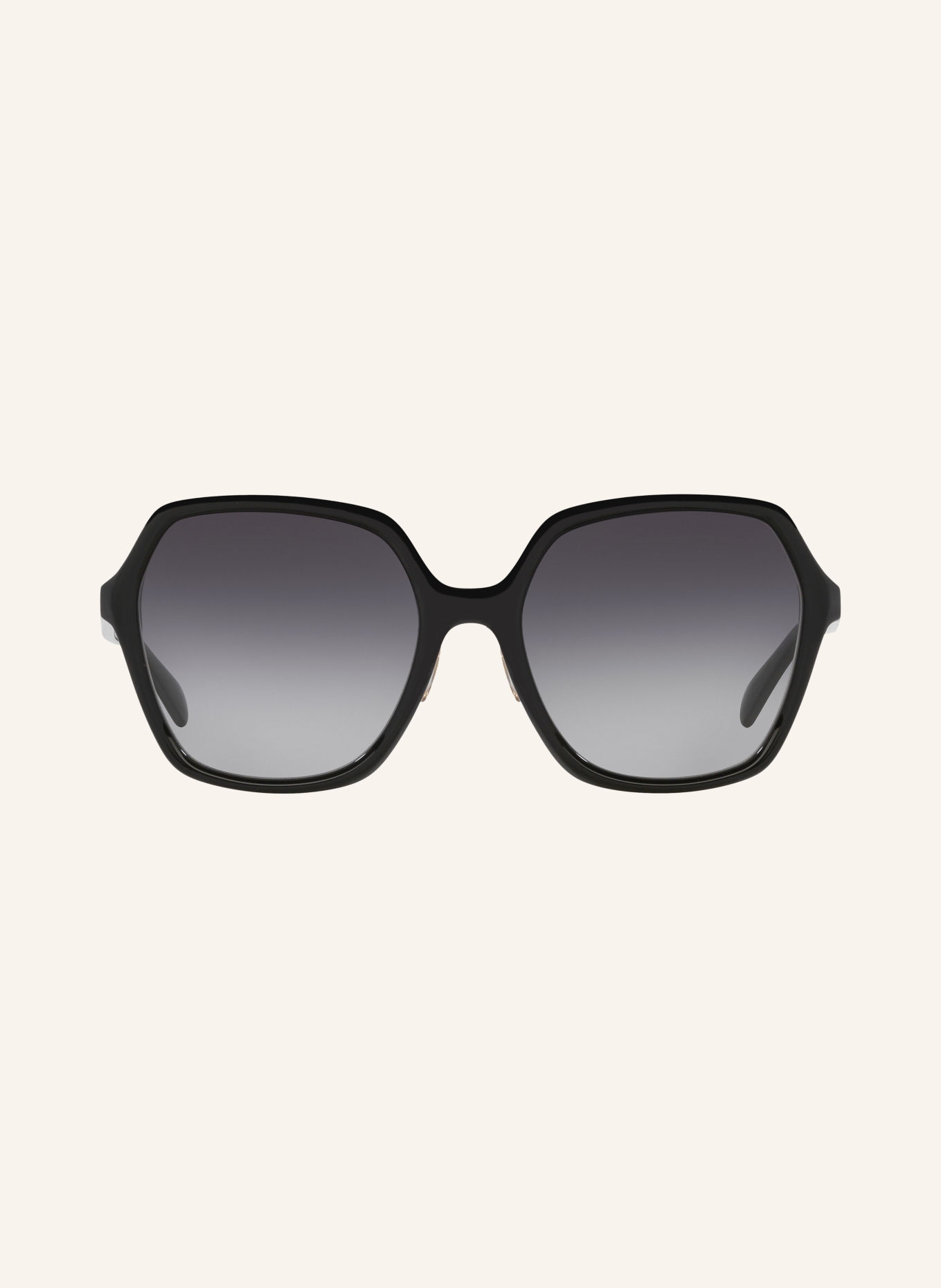 CELINE Sonnenbrille THIN CL40230F: SCHWARZ/ GRAU