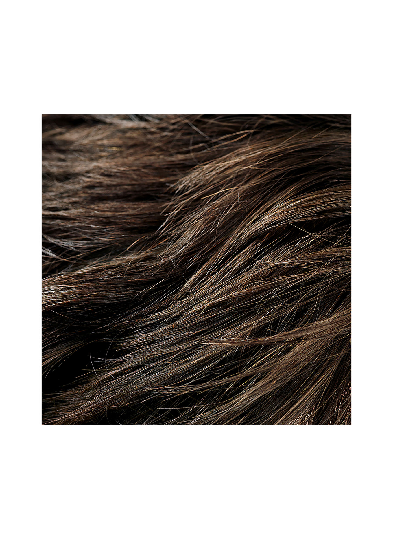 Oribe SIGNATURE