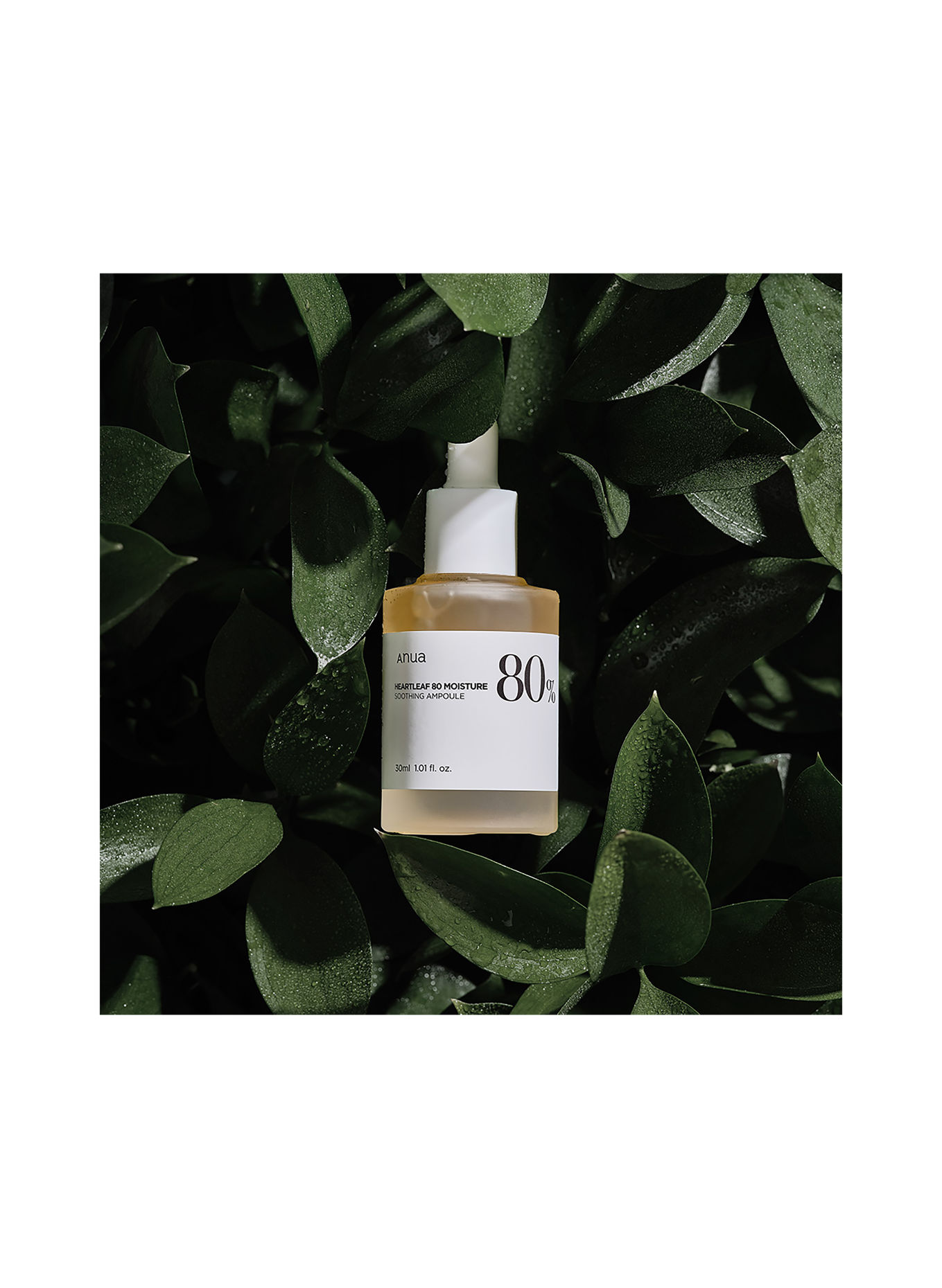 ANUA HEARTLEAF 80% SOOTHING AMPOULE