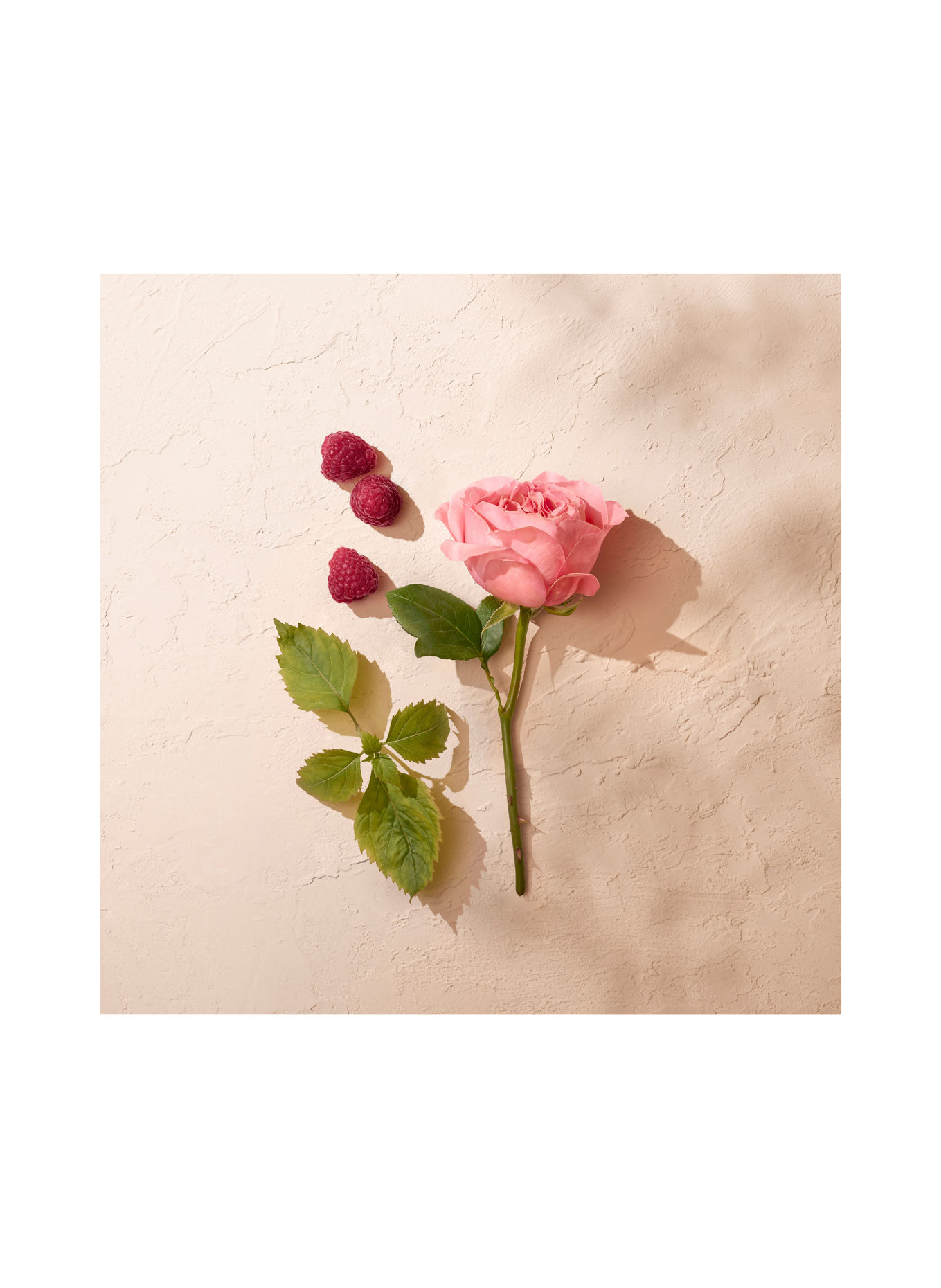GOUTAL Fragrances ROSE POMPON