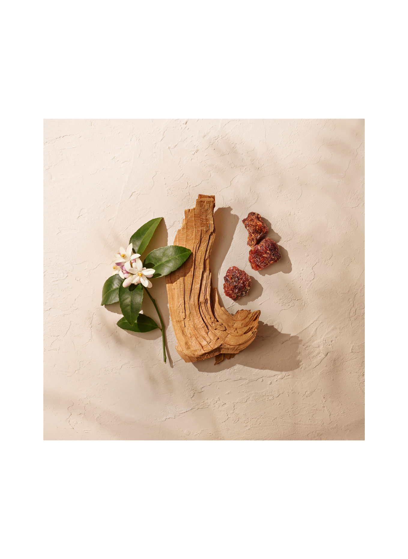 GOUTAL Fragrances LE TEMPS DES RÊVES