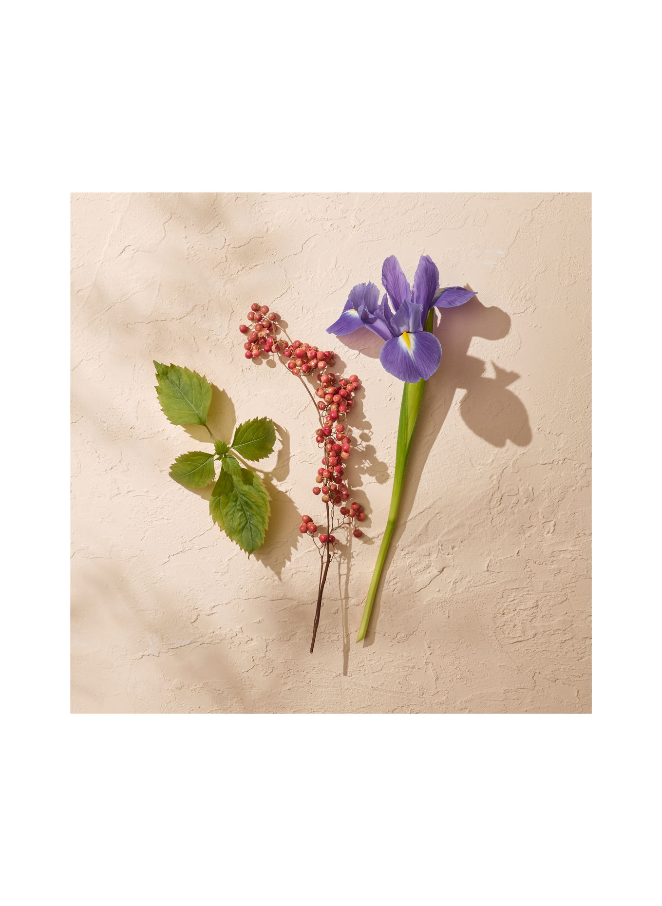 GOUTAL Fragrances TENUE DE SOIRÉE