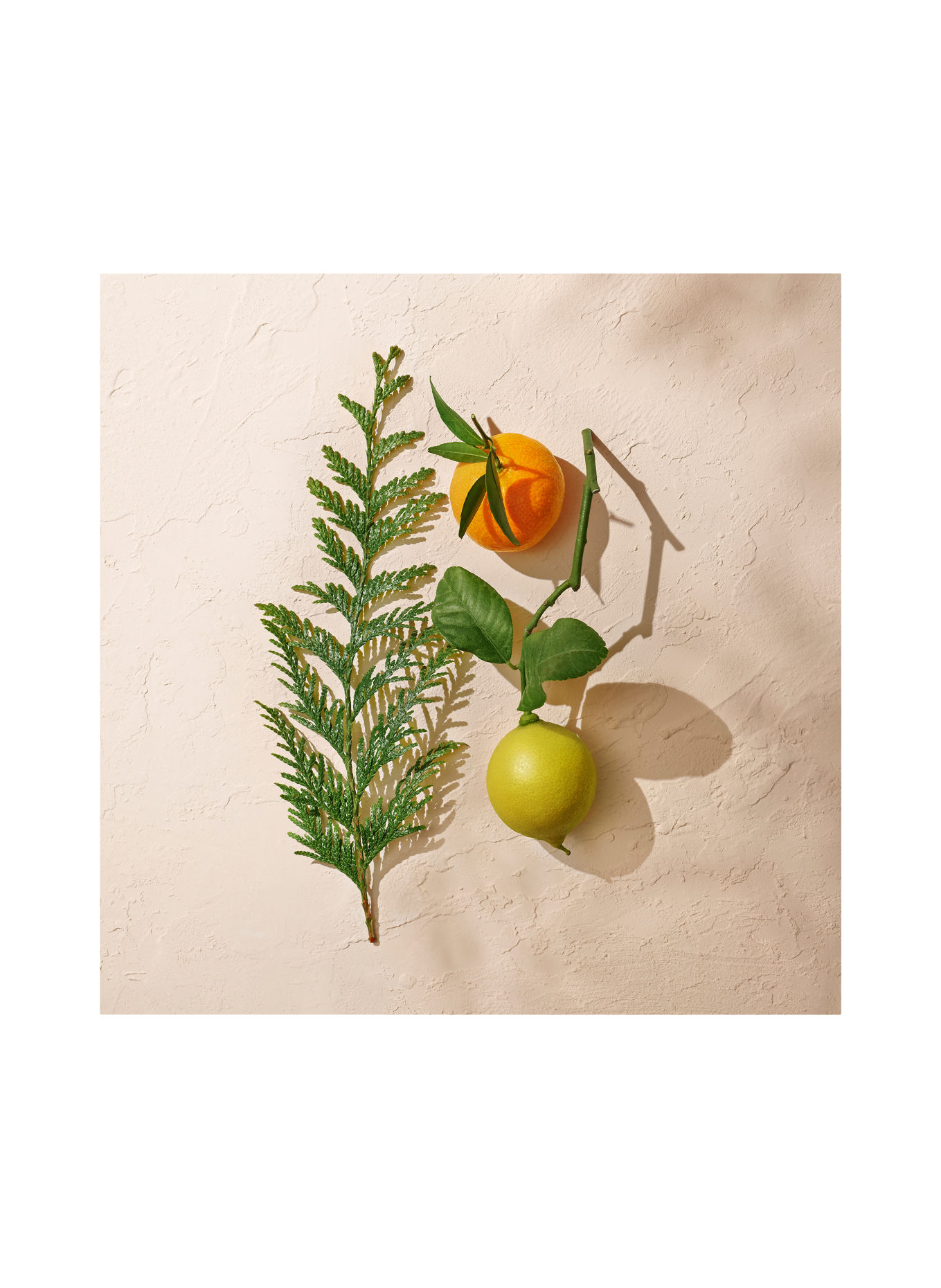 GOUTAL Fragrances EAU D'HADRIEN