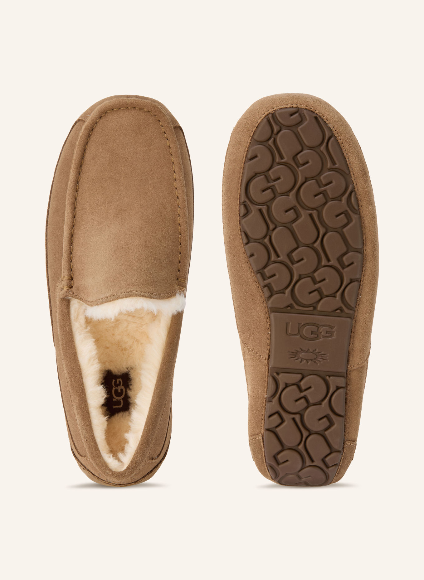 UGG Hausschuhe ASCOT: HELLBRAUN