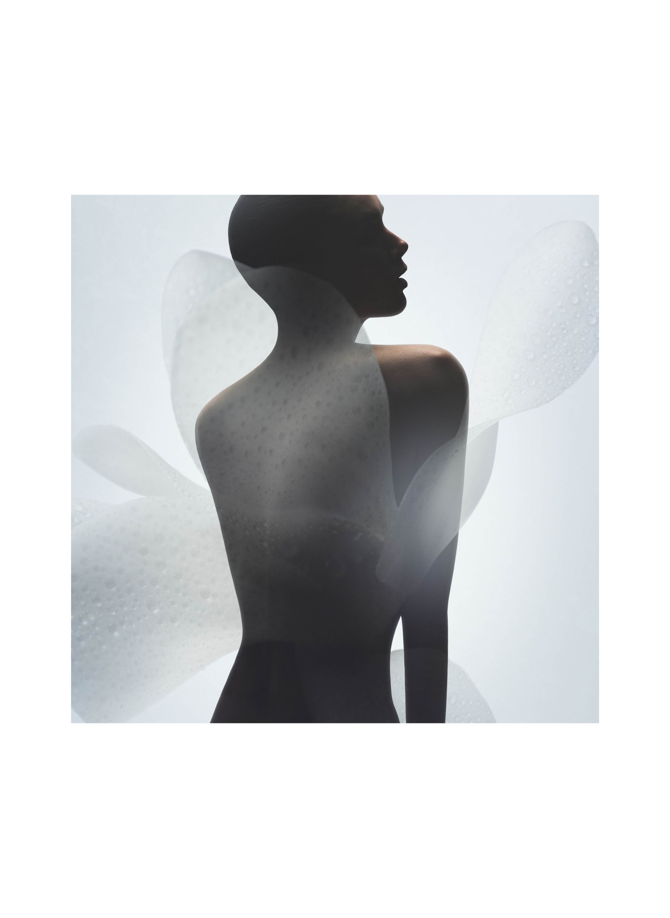 ARMANI PRIVÉ VÉTIVER D'HIVER