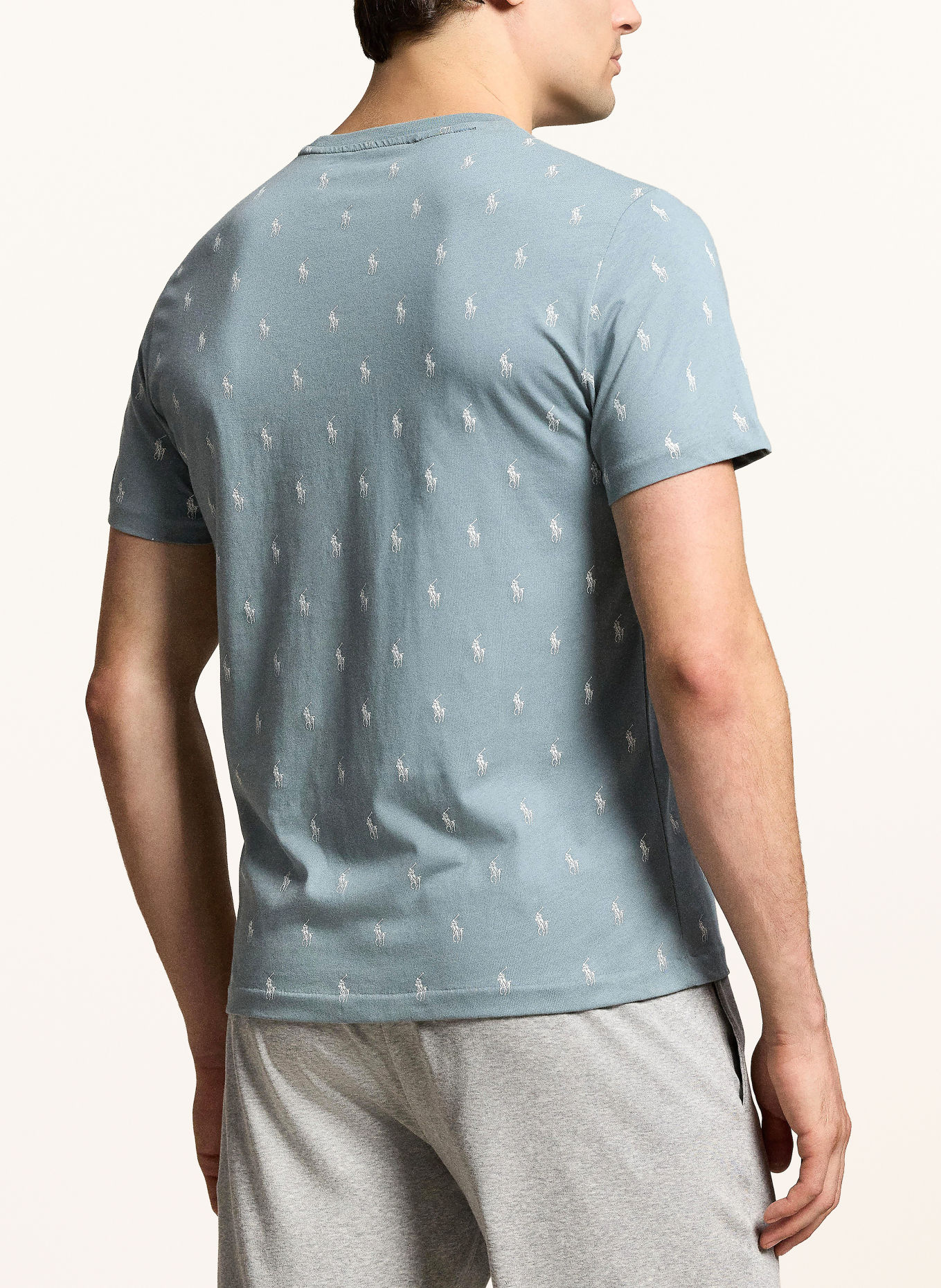 POLO RALPH LAUREN Loungeshirt: BLÅGRÅ / HVID