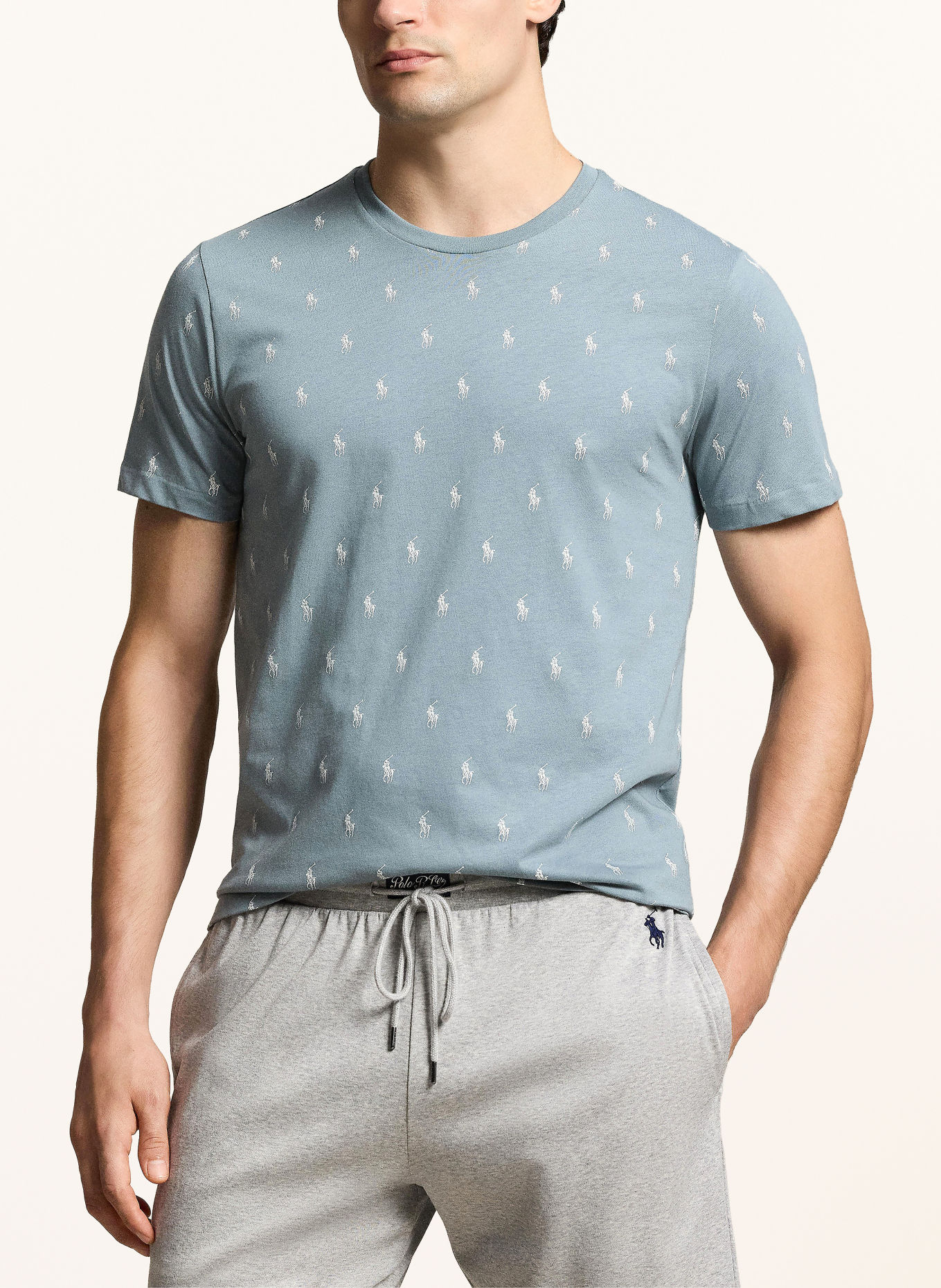 POLO RALPH LAUREN Loungeshirt: BLÅGRÅ / HVID
