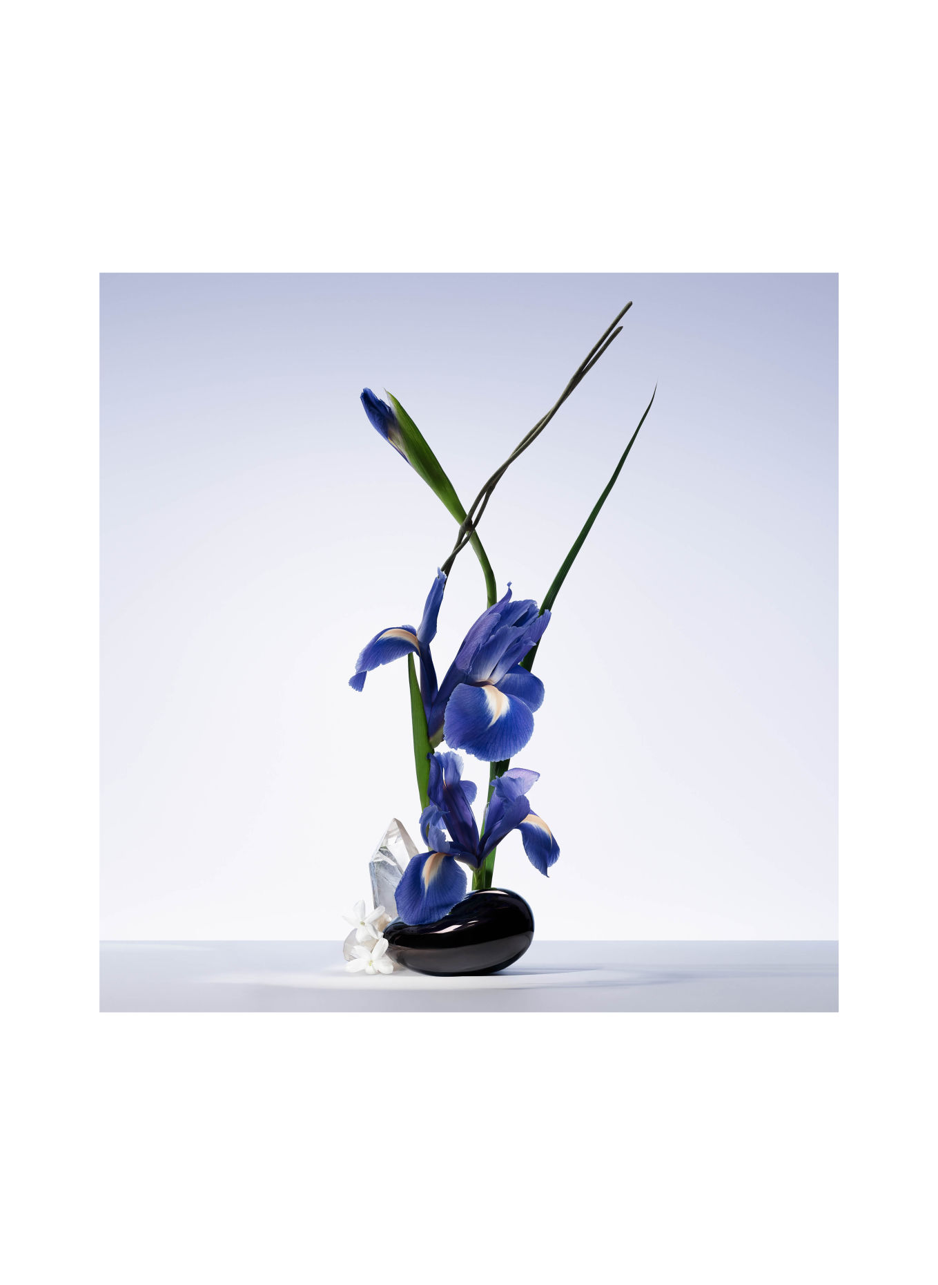 ARMANI PRIVÉ BLEU
