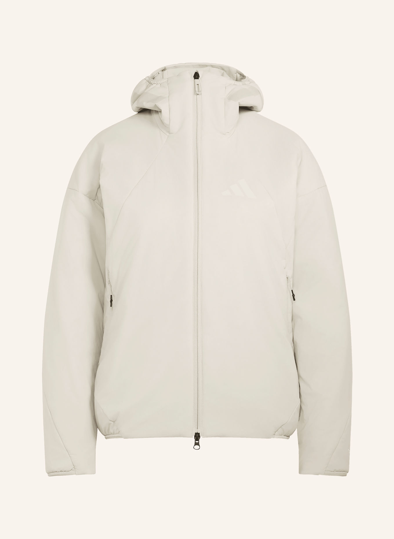 adidas TERREX TEREX XPERIOR PRO Functional Jacket: LIGHT GRAY