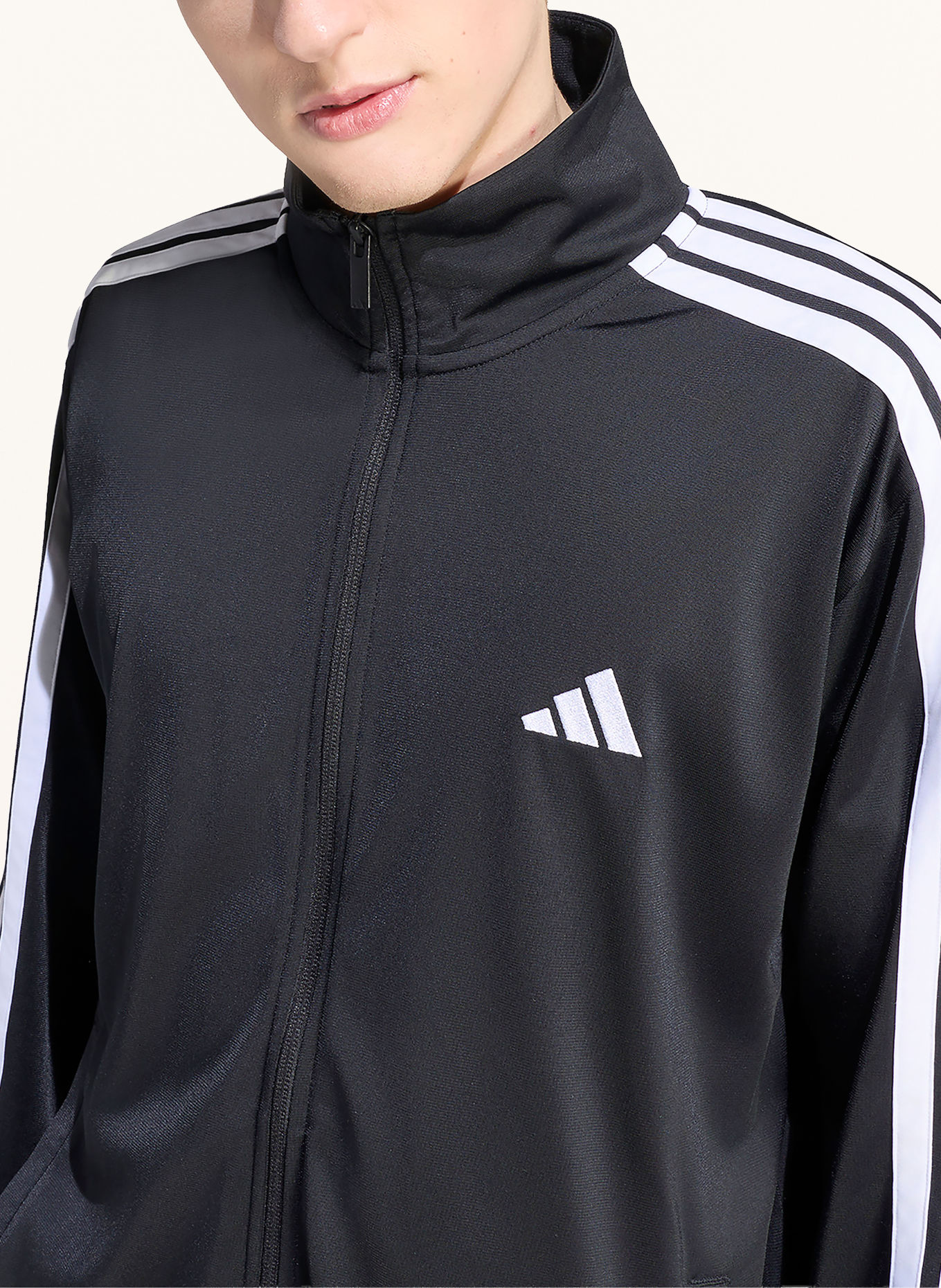adidas DAYREADY tracksuit with braided stripes: BLACK / WHITE