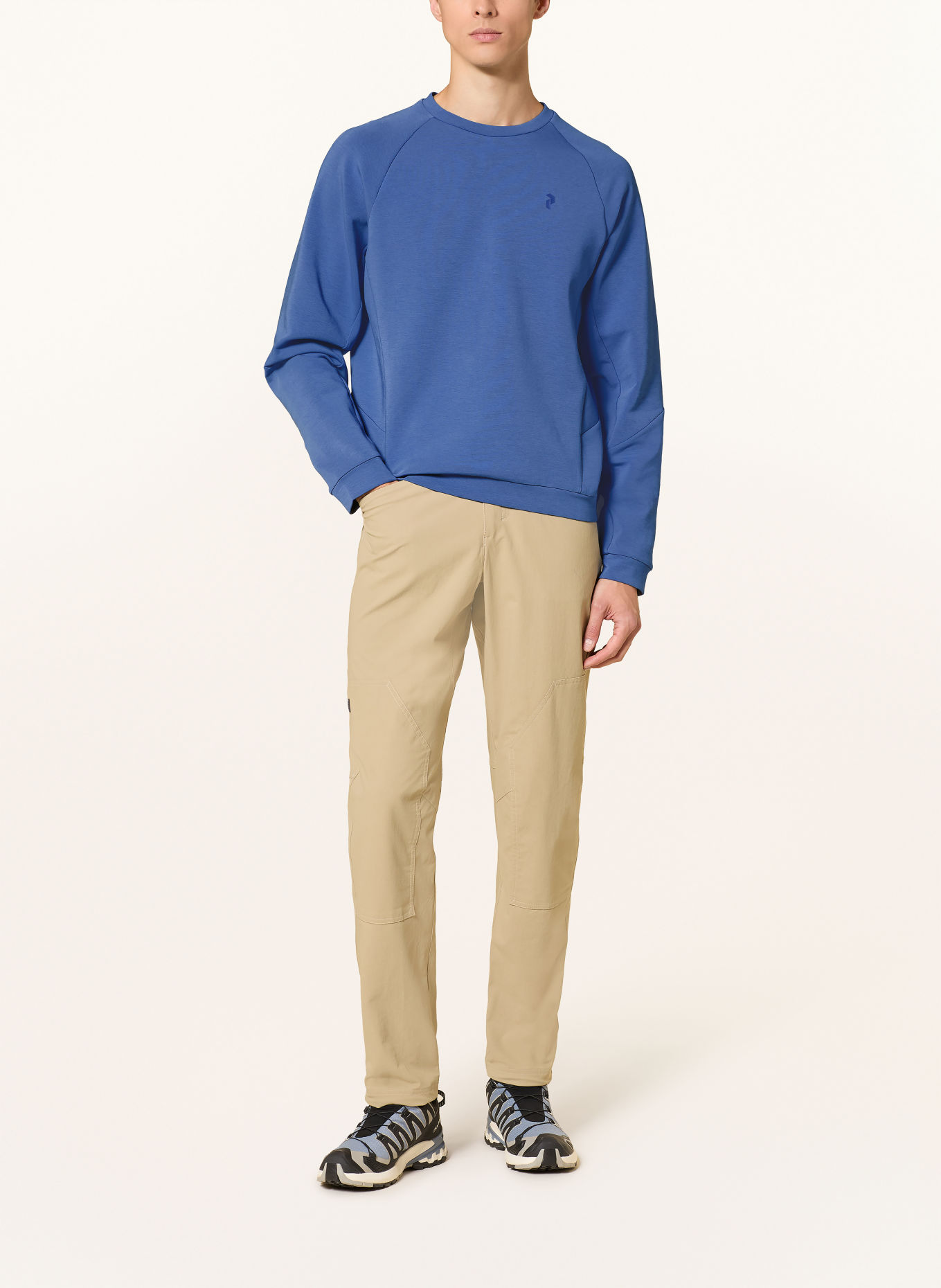 Peak Performance SUMMIT SKY Sweatshirt: BLUE