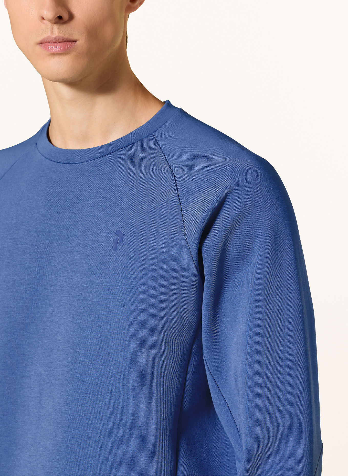 Peak Performance SUMMIT SKY Sweatshirt: BLUE