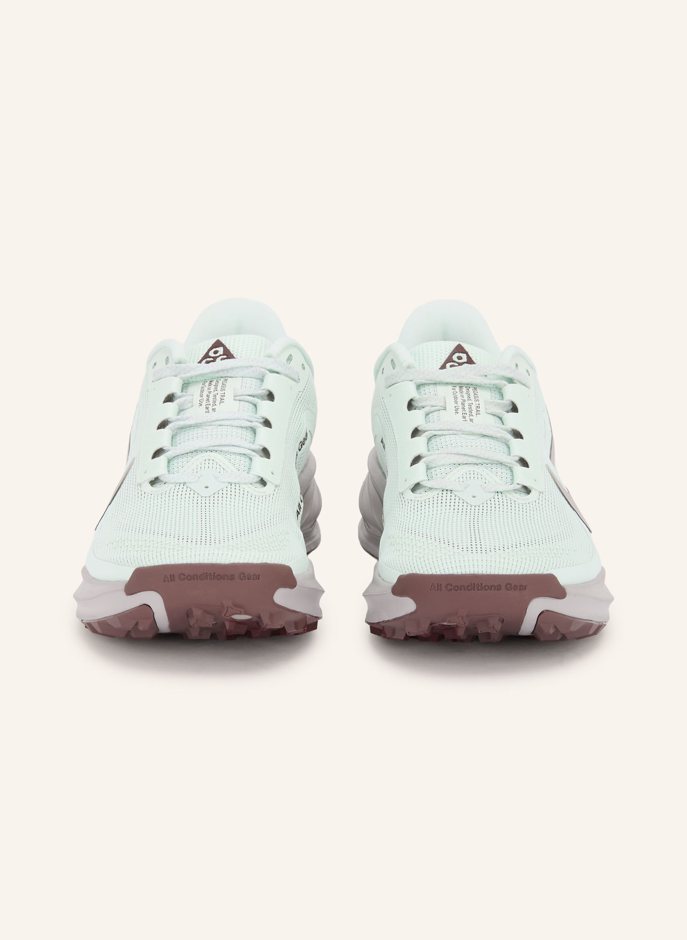 Nike ACG PEGASUS TRAIL Trail running shoes: MINT / DARK BROWN / LIGHT PURPLE
