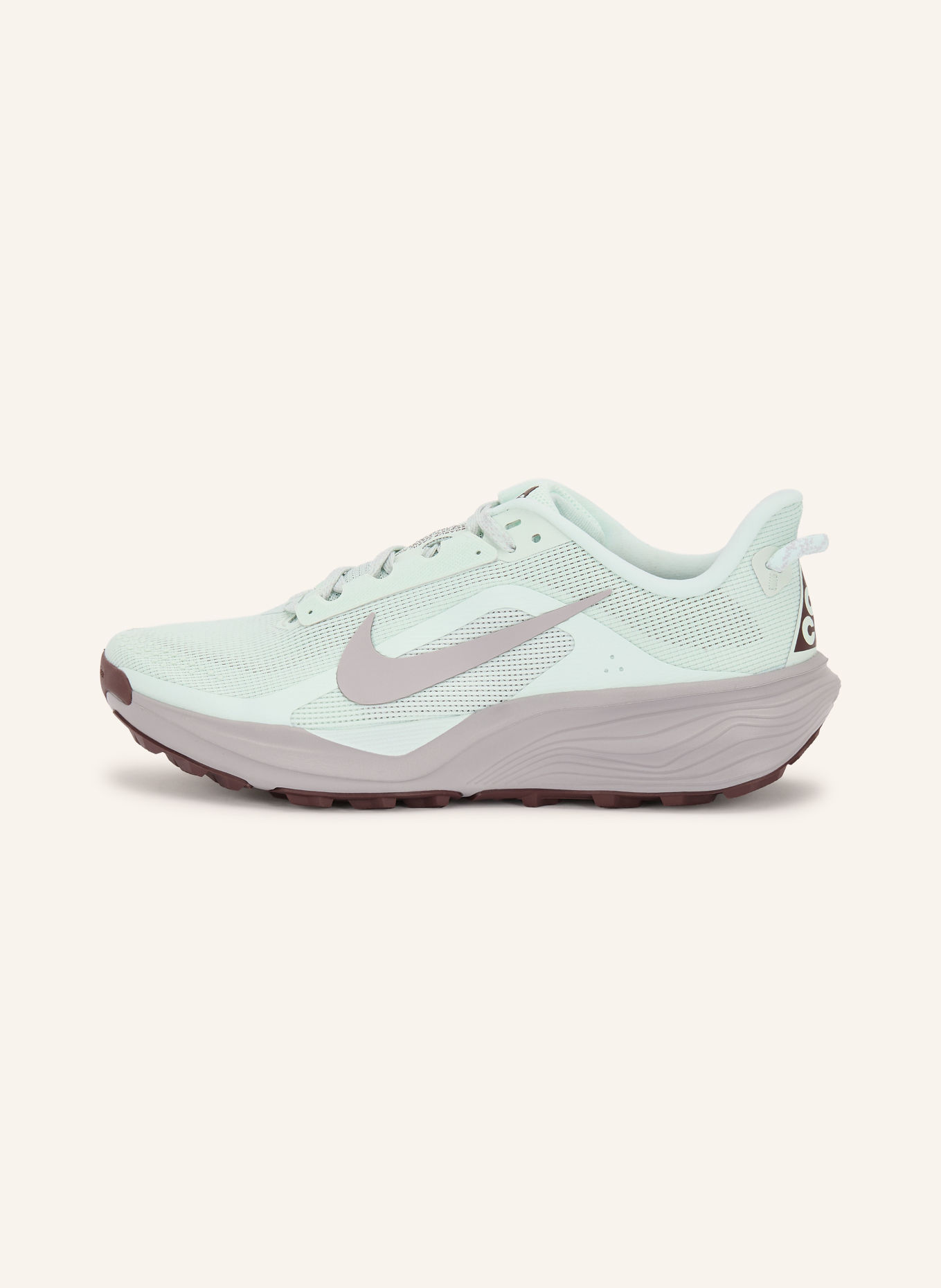 Nike ACG PEGASUS TRAIL Trail running shoes: MINT / DARK BROWN / LIGHT PURPLE