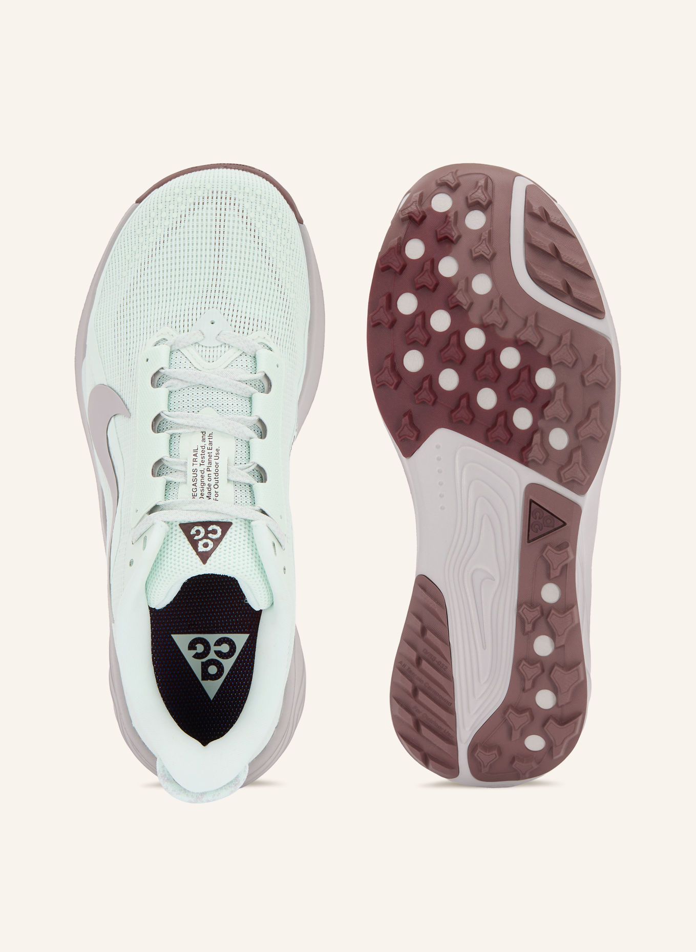 Nike ACG PEGASUS TRAIL Trail running shoes: MINT / DARK BROWN / LIGHT PURPLE