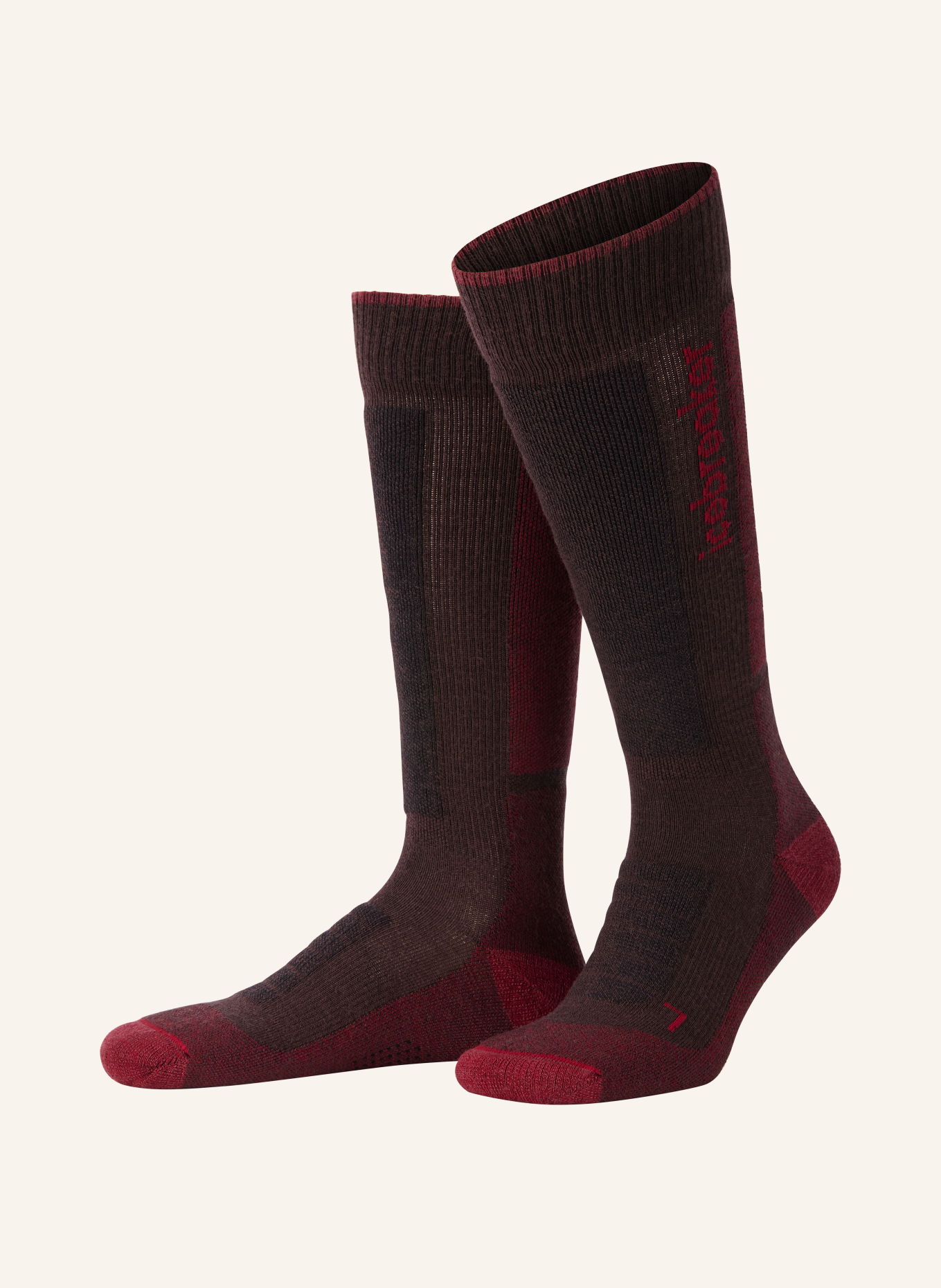 icebreaker Skisocken MERINO BLEND SKI+: DUNKELROT / SCHWARZ