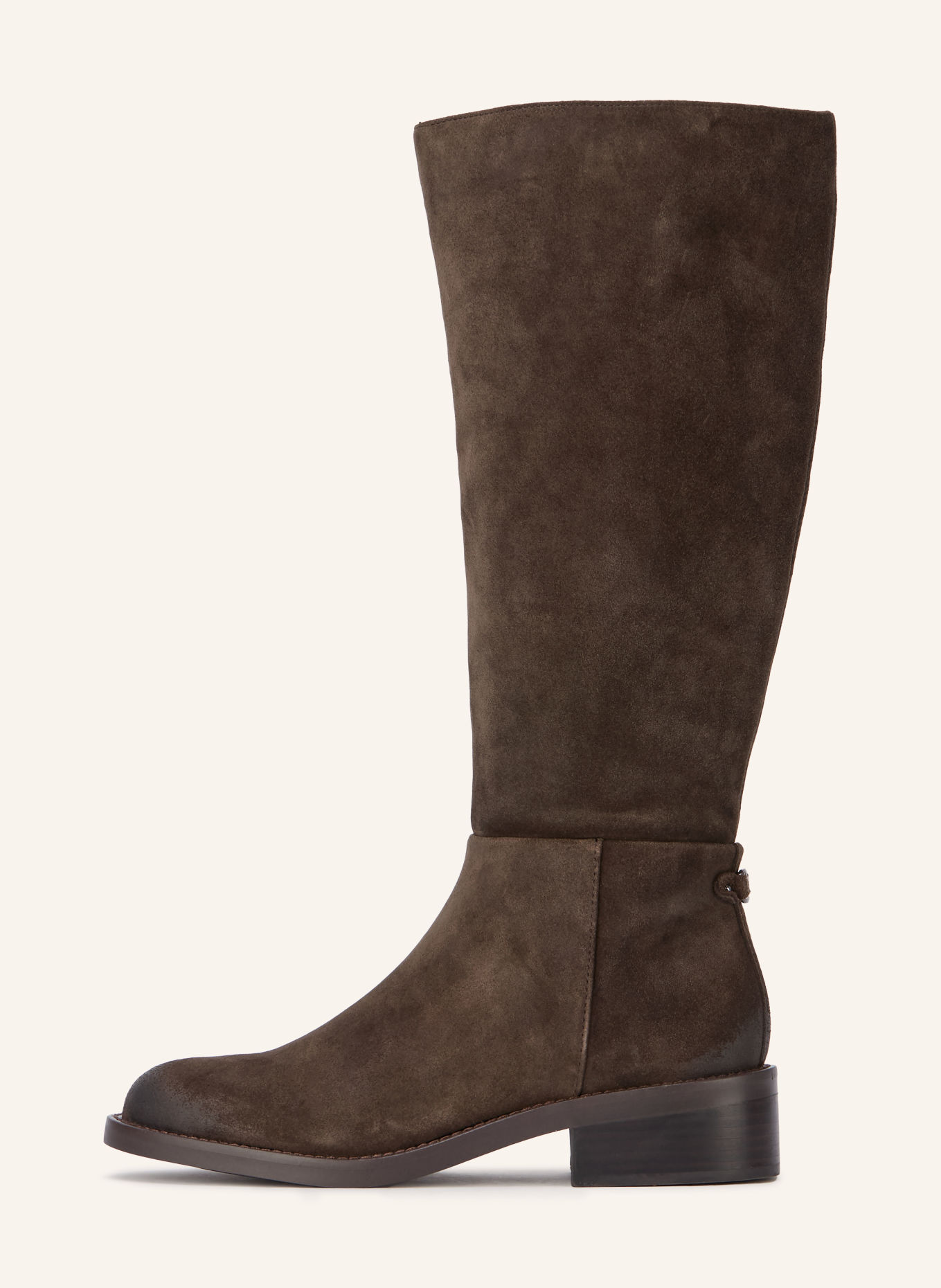 Sam Edelman Stiefel MILLA: TAUPE