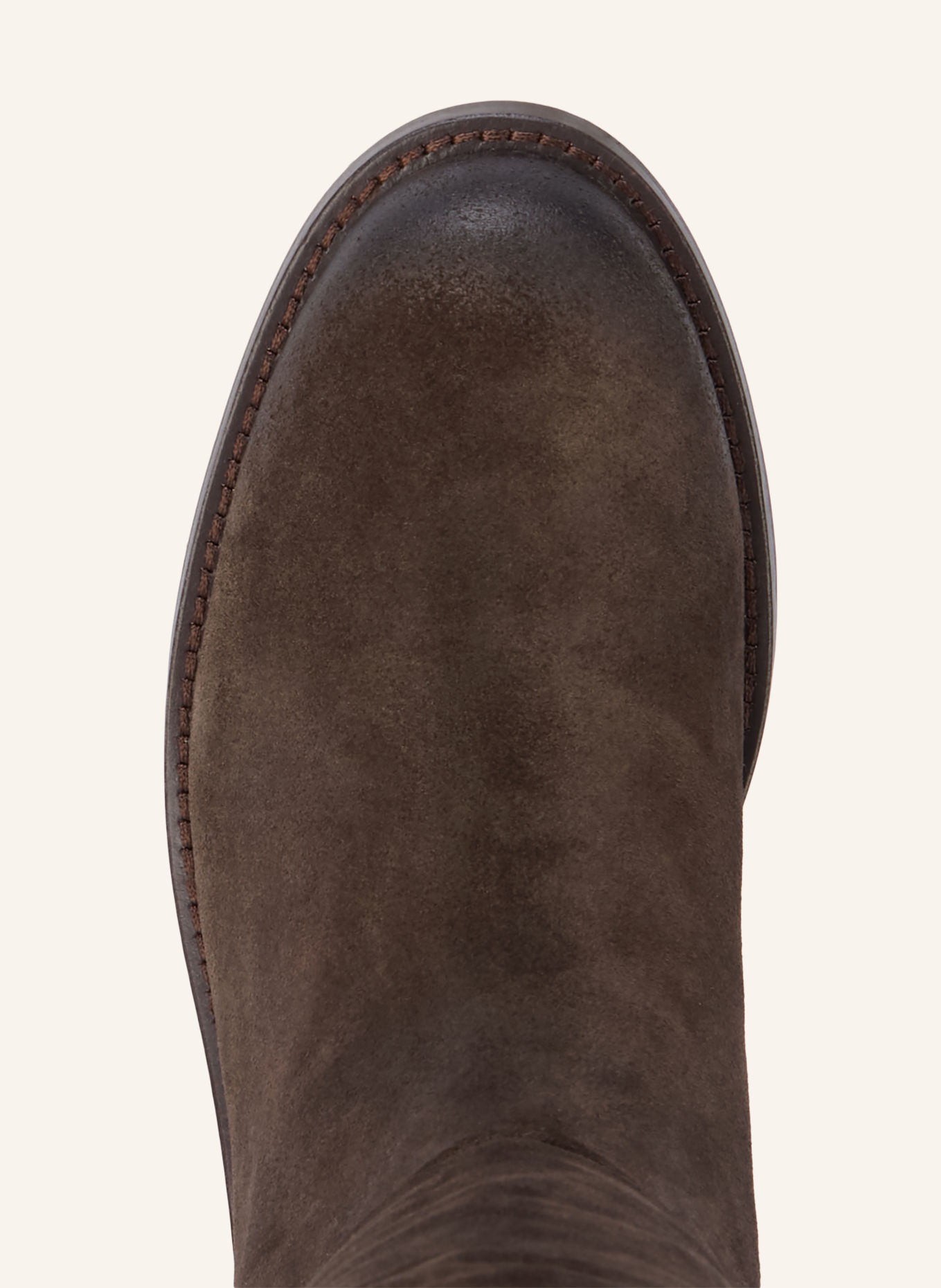 Sam Edelman Stiefel MILLA: TAUPE