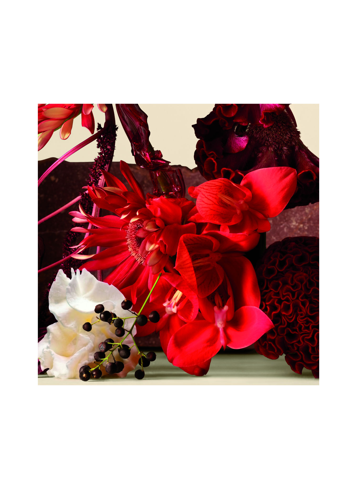 VALENTINO PARFUMS ANATOMY OF DREAMS - SOGNO IN ROSSO
