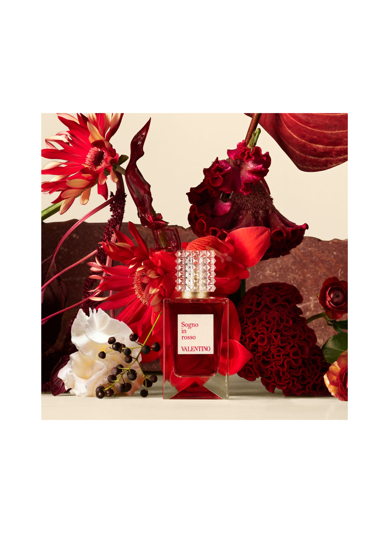 VALENTINO PARFUMS ANATOMY OF DREAMS - SOGNO IN ROSSO