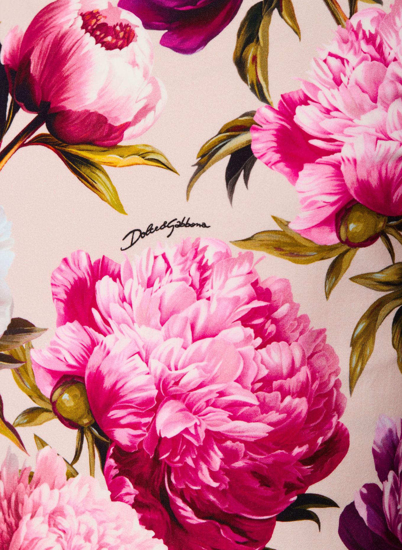 DOLCE & GABBANA Long-sleeve shirt: BEIGE / FUCHSIA / PINK